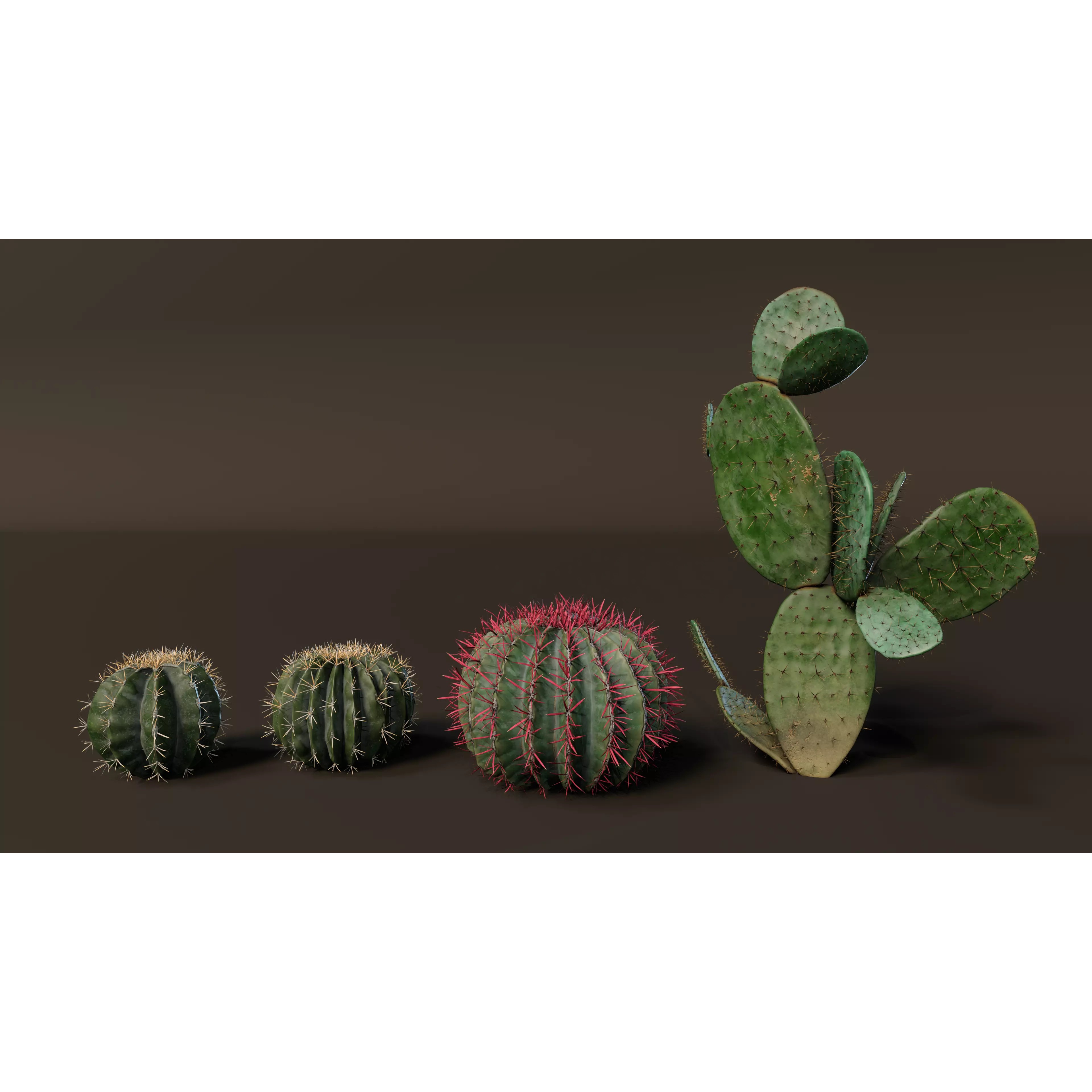 Cacti 3D Model – Low Poly Game Ready Collection, FBX & OBJ - View 2
