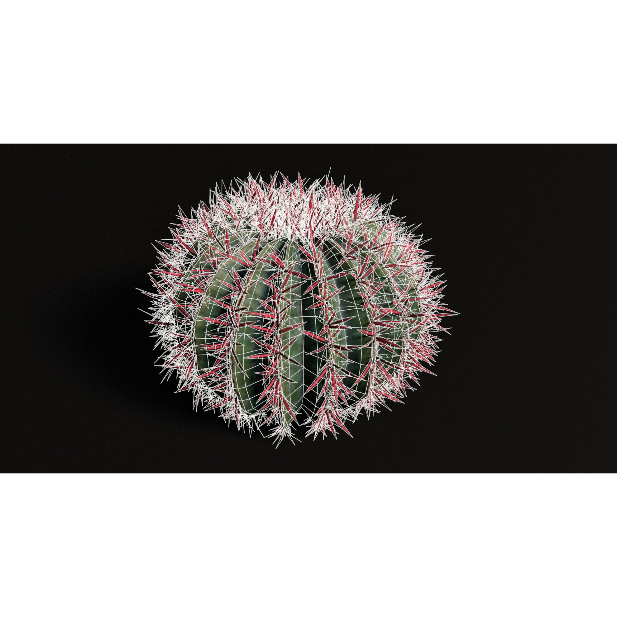 Cacti 3D Model – Low Poly Game Ready Collection, FBX & OBJ - View 9