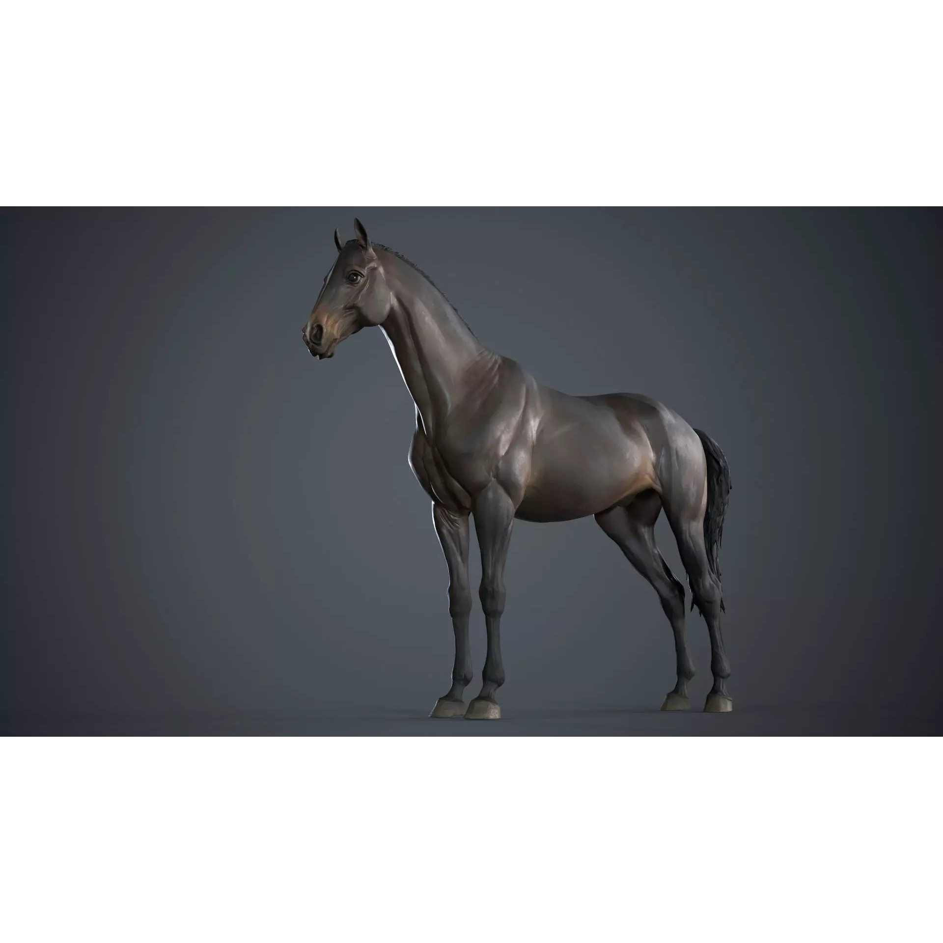 Horse 3D Model – High Poly T-Pose Sculpture, FBX & OBJ Formats - View 2
