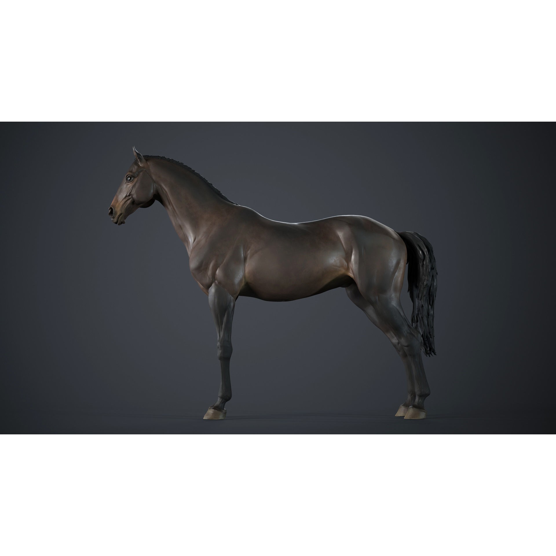 Horse 3D Model – High Poly T-Pose Sculpture, FBX & OBJ Formats - View 3