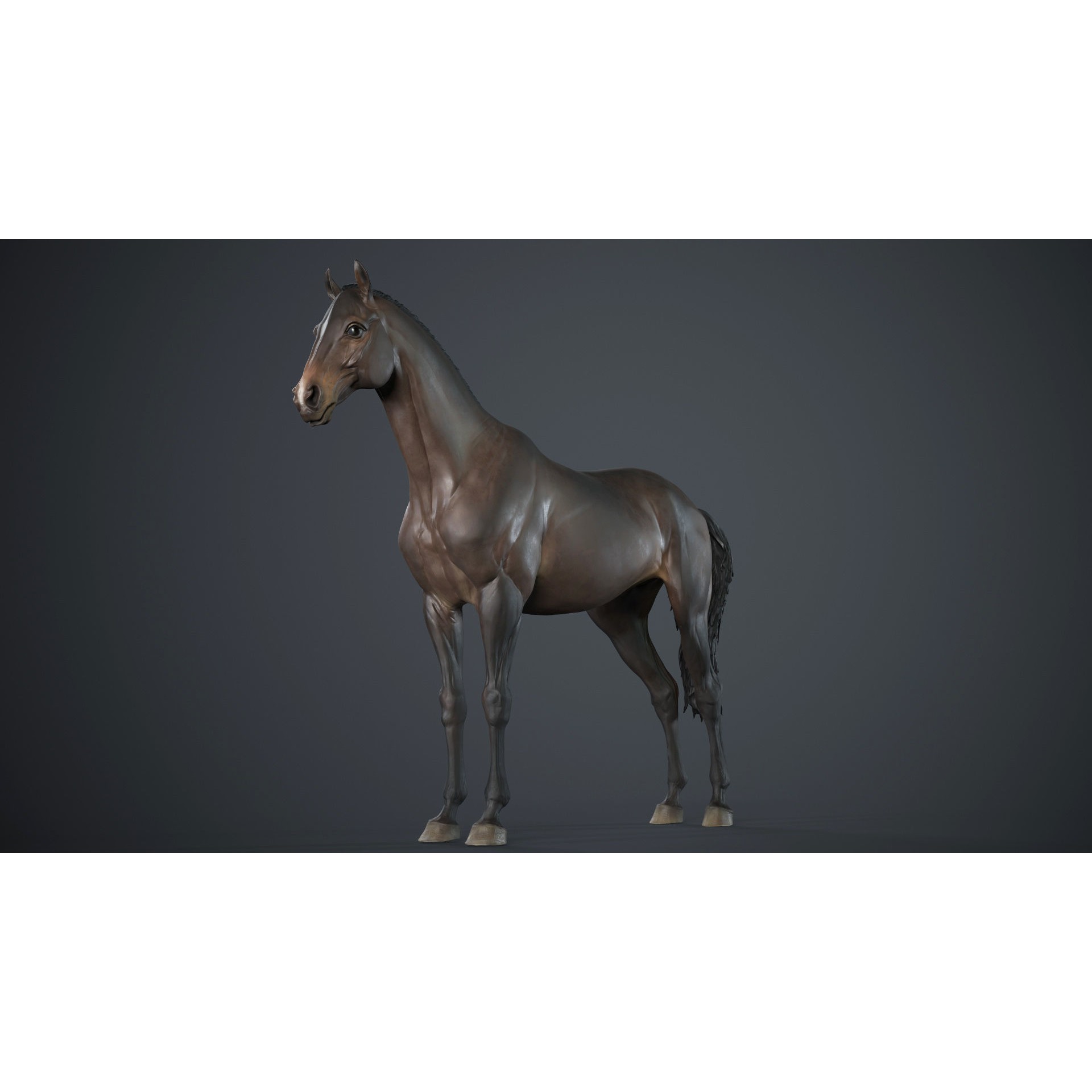 Horse 3D Model – High Poly T-Pose Sculpture, FBX & OBJ Formats - View 5