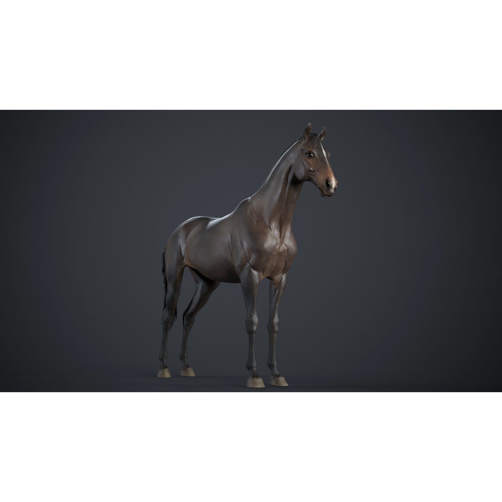 Horse 3D Model – High Poly T-Pose Sculpture, FBX & OBJ Formats - View 6
