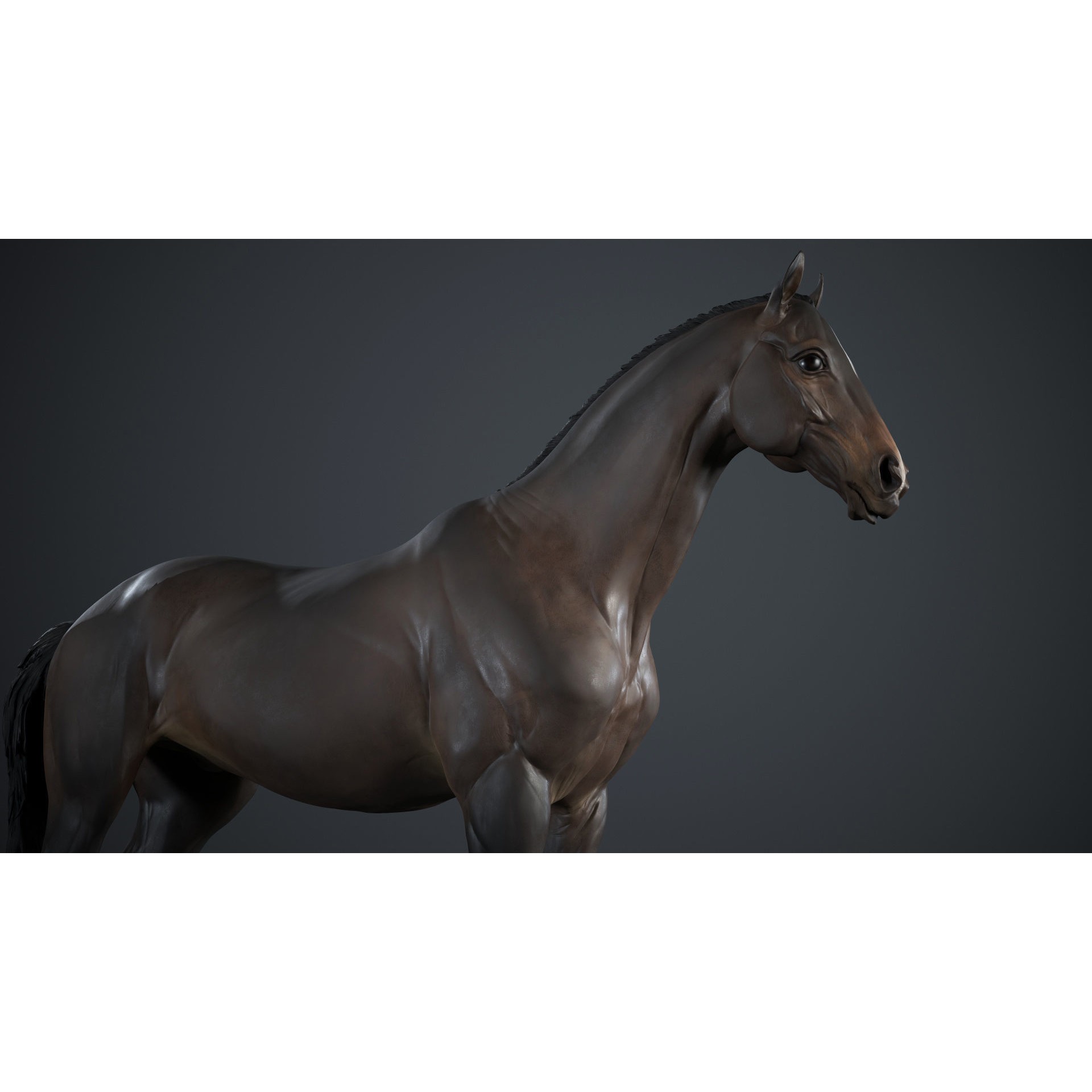 Horse 3D Model – High Poly T-Pose Sculpture, FBX & OBJ Formats - View 7