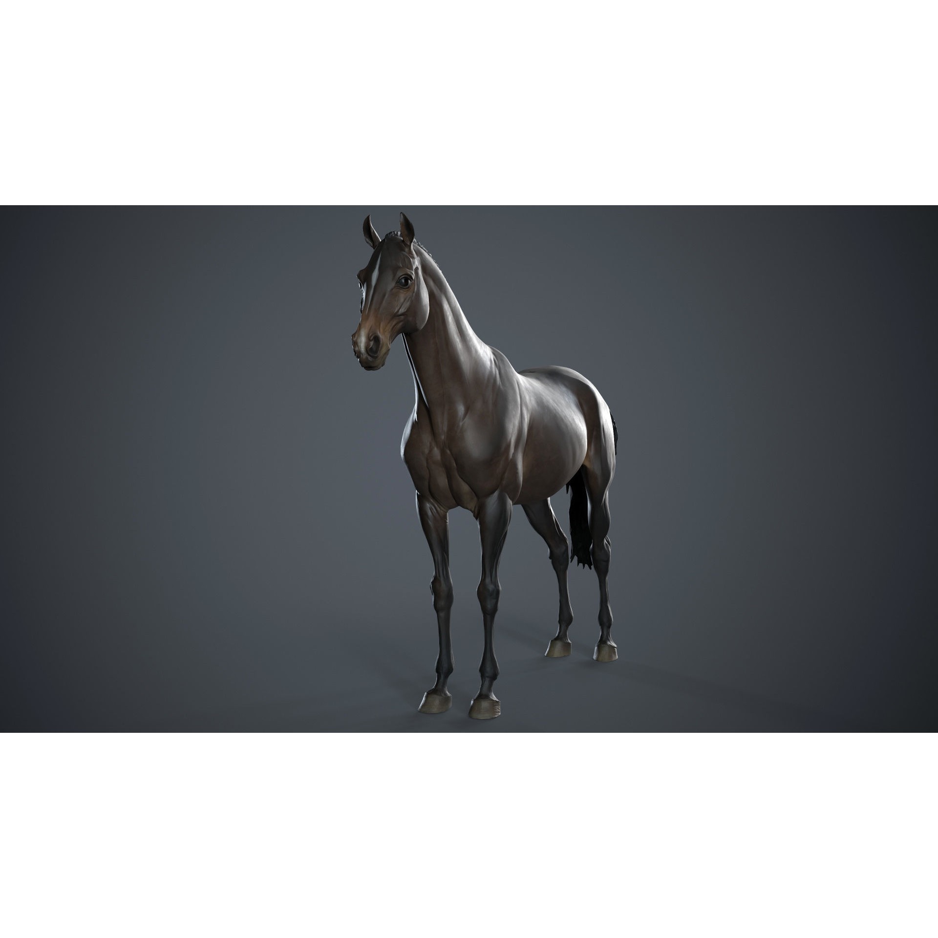 Horse 3D Model – High Poly T-Pose Sculpture, FBX & OBJ Formats - View 8
