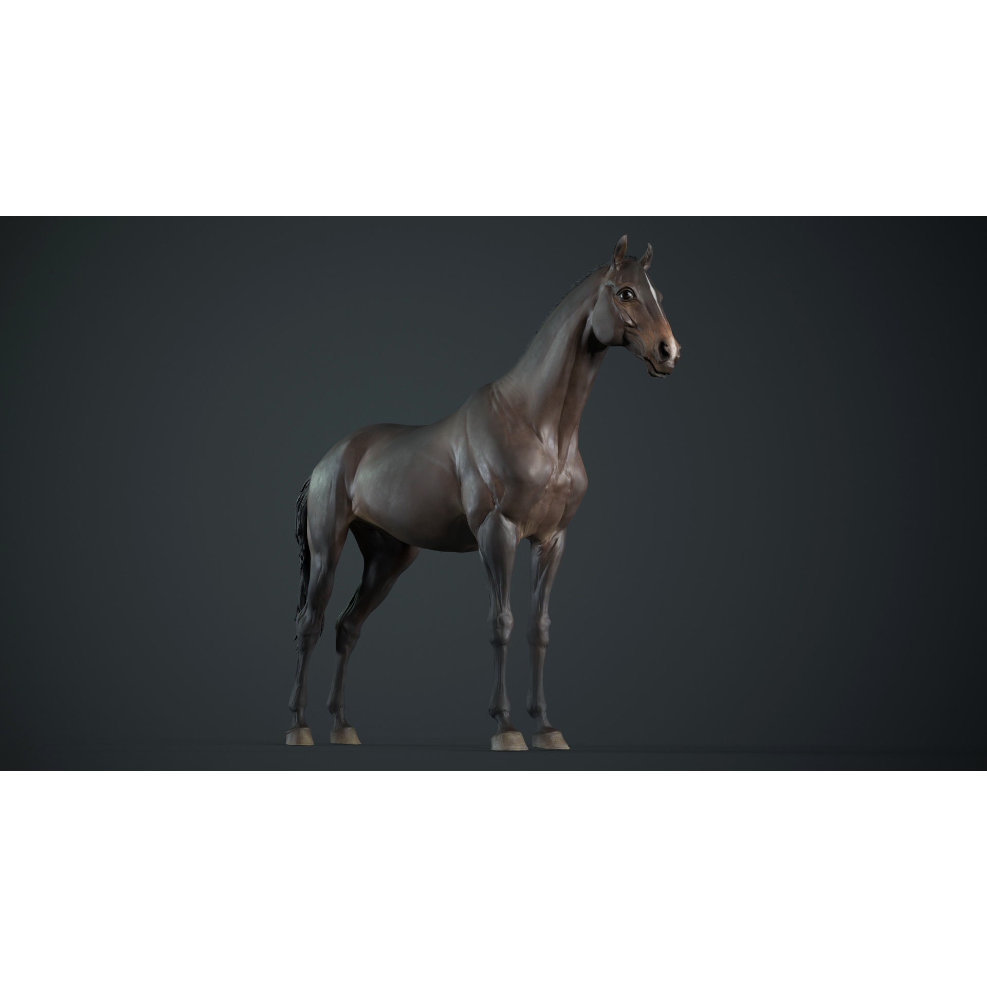 Horse 3D Model – High Poly T-Pose Sculpture, FBX & OBJ Formats - View 9