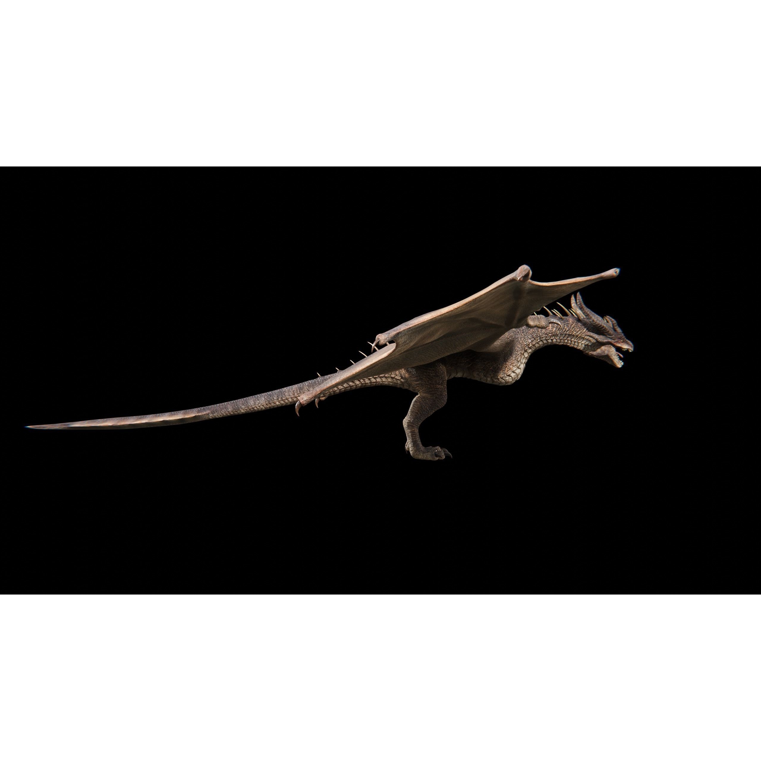 Dragon Wyvern Alpha 3D Model – Low Poly Rigged Animation, FBX - View 22