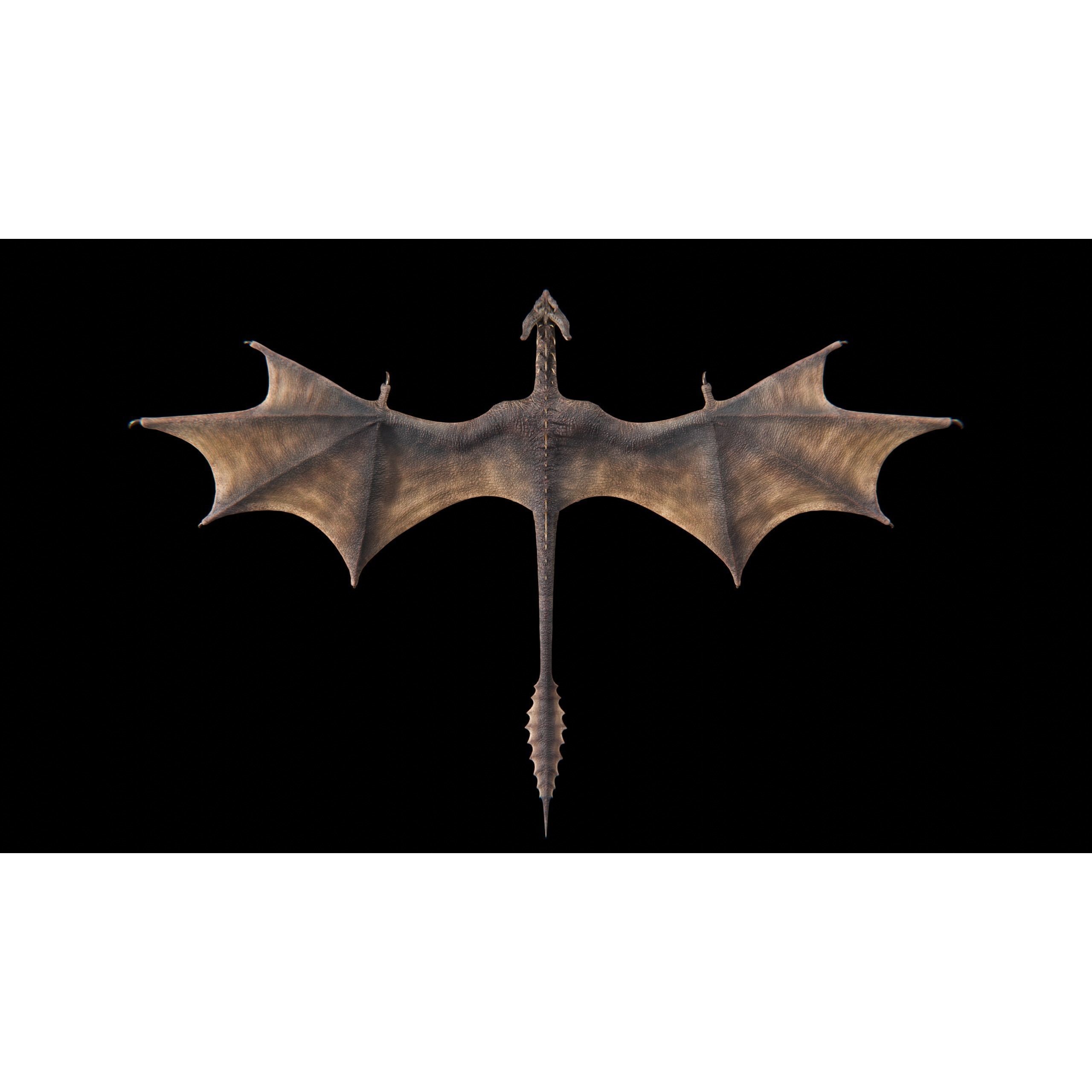Dragon Wyvern Alpha 3D Model – Low Poly Rigged Animation, FBX - View 23