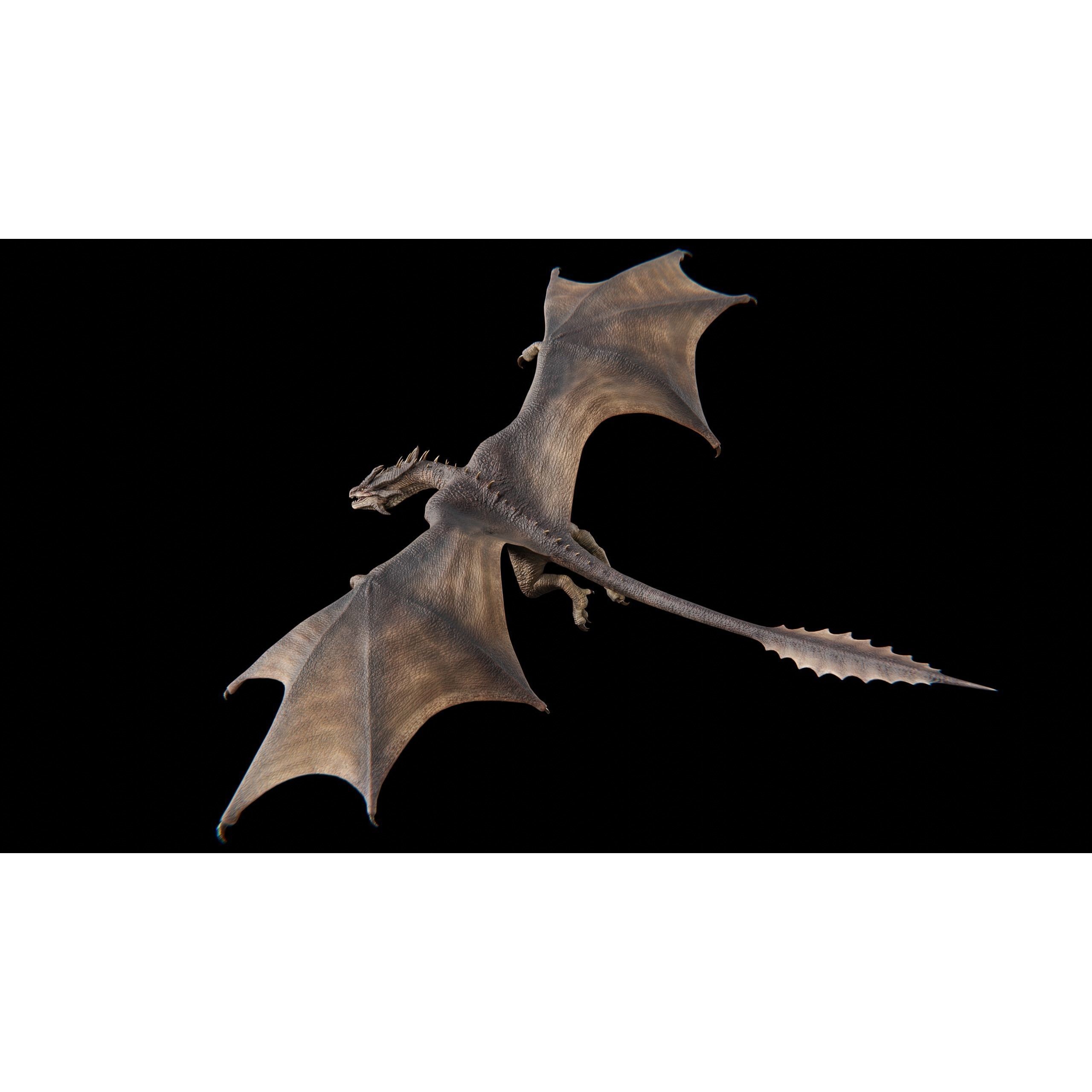 Dragon Wyvern Alpha 3D Model – Low Poly Rigged Animation, FBX - View 4