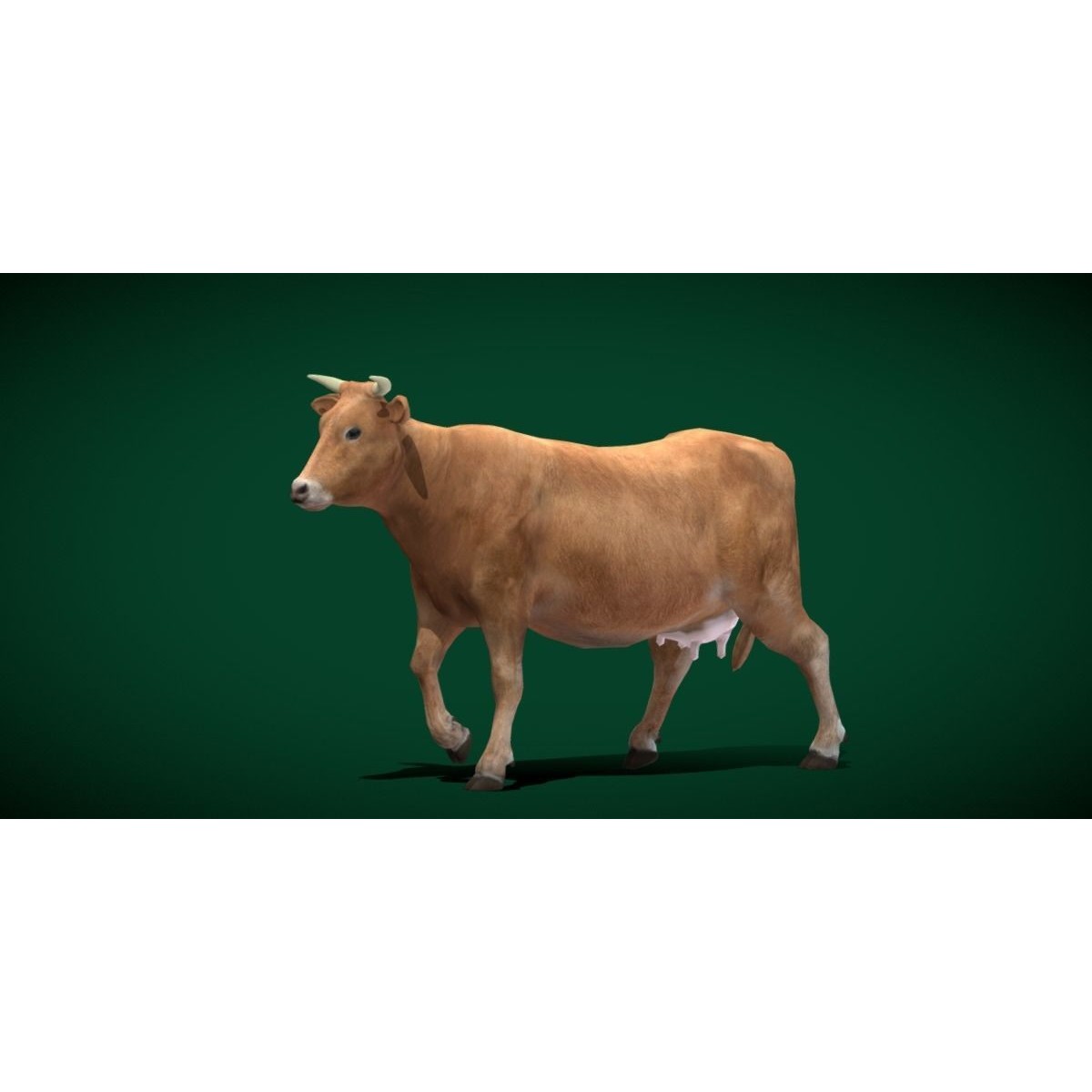 Domestic Cattle Oxen 3D Model – Low Poly Game Asset, FBX, PBR Textures