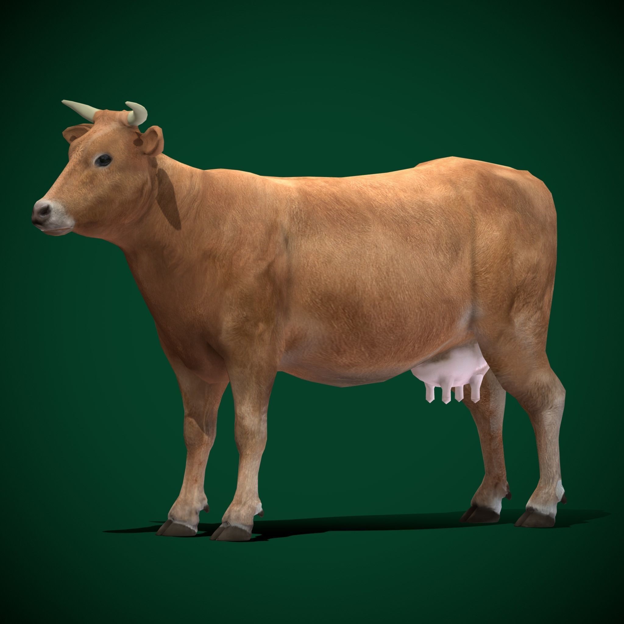 Domestic Cattle Oxen 3D Model – Low Poly Game Asset, FBX, PBR Textures - View 15