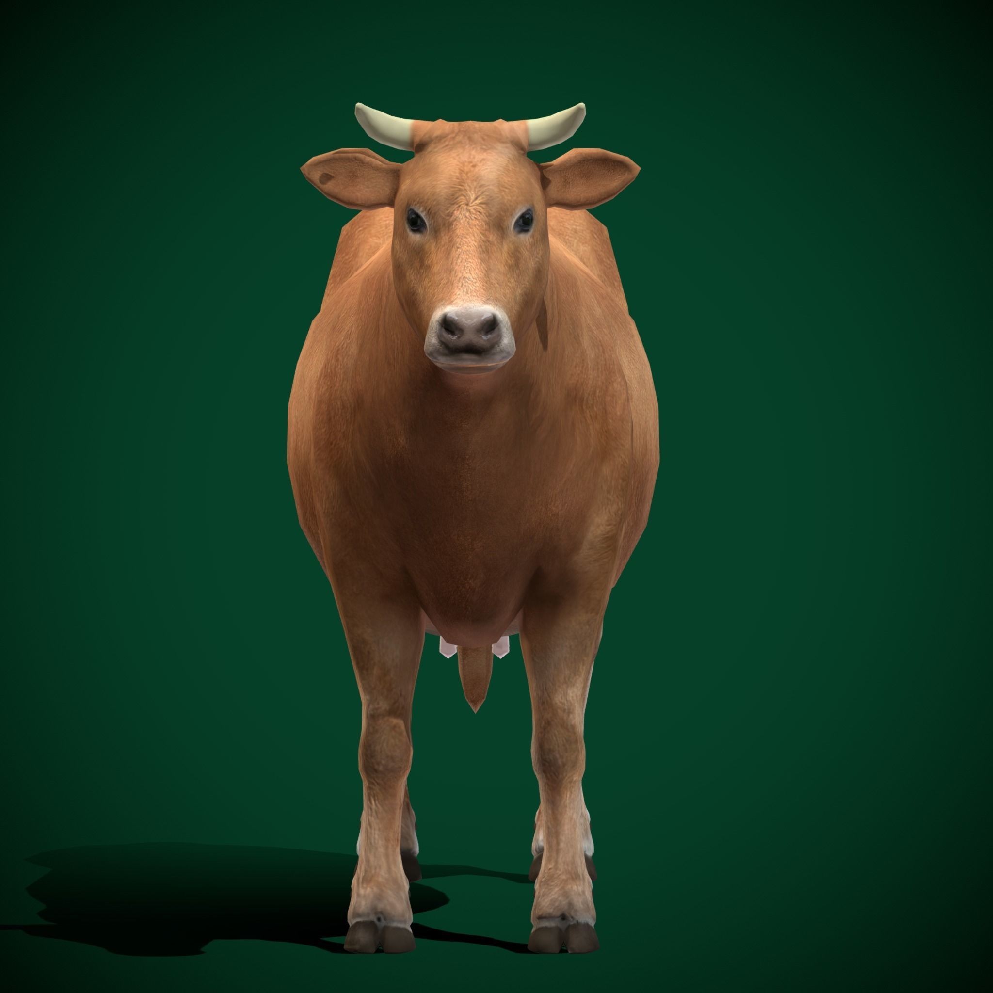 Domestic Cattle Oxen 3D Model – Low Poly Game Asset, FBX, PBR Textures - View 16