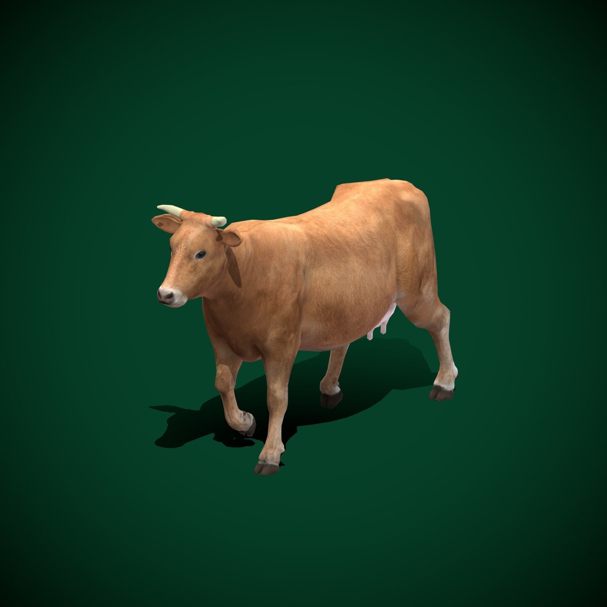 Domestic Cattle Oxen 3D Model – Low Poly Game Asset, FBX, PBR Textures - View 17