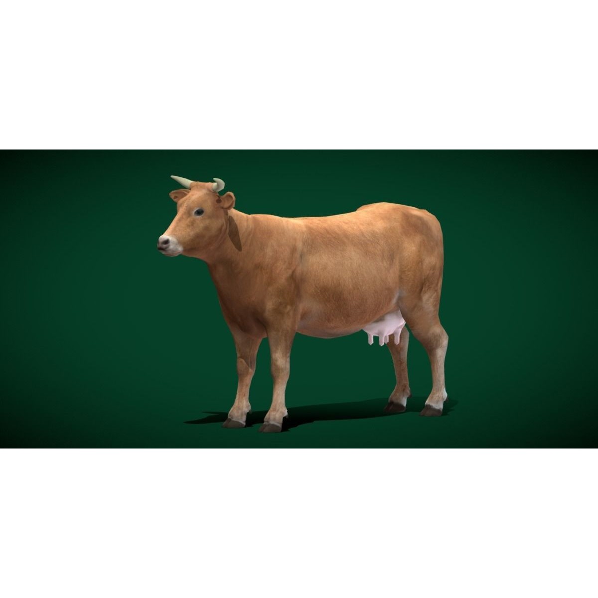 Domestic Cattle Oxen 3D Model – Low Poly Game Asset, FBX, PBR Textures - View 18