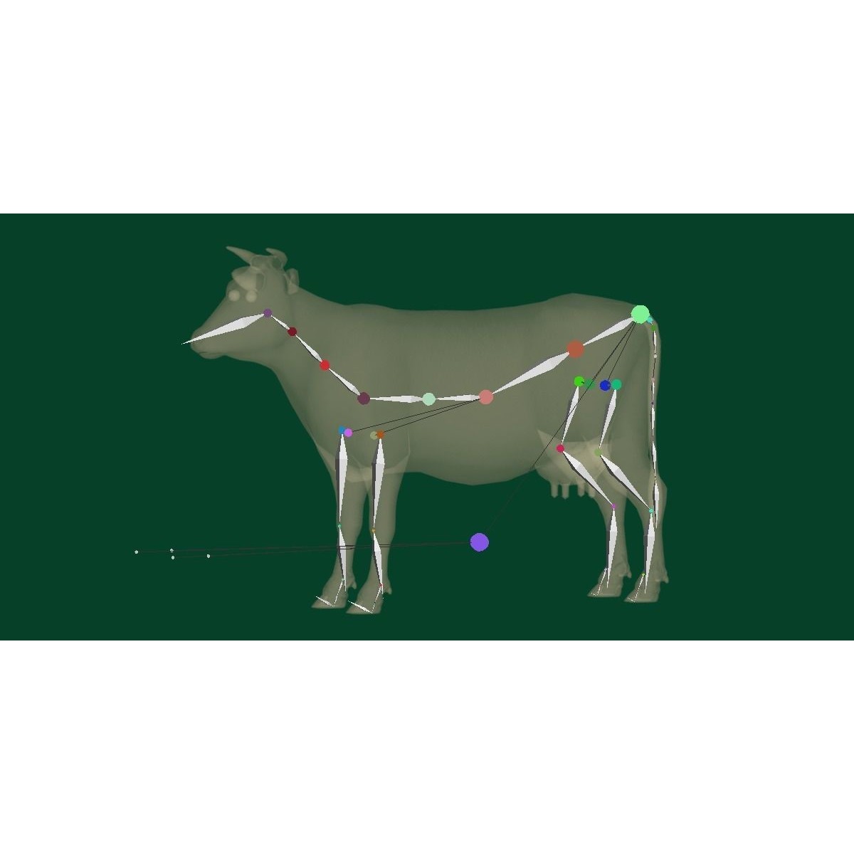 Domestic Cattle Oxen 3D Model – Low Poly Game Asset, FBX, PBR Textures - View 19