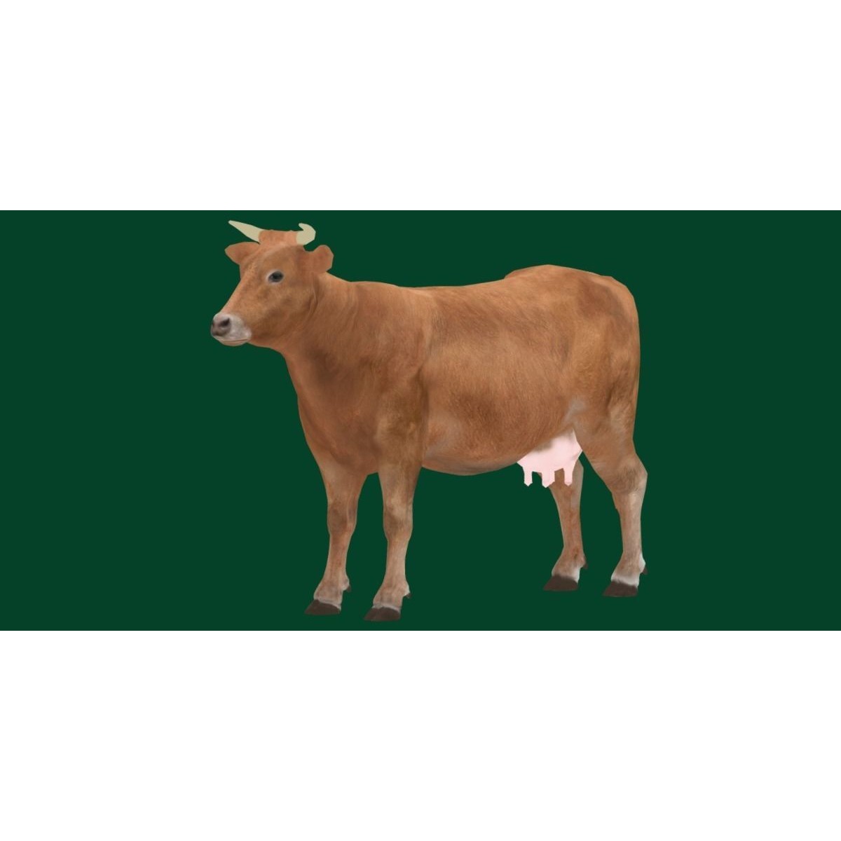 Domestic Cattle Oxen 3D Model – Low Poly Game Asset, FBX, PBR Textures - View 21