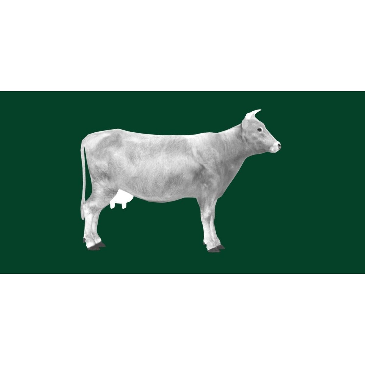 Domestic Cattle Oxen 3D Model – Low Poly Game Asset, FBX, PBR Textures - View 23