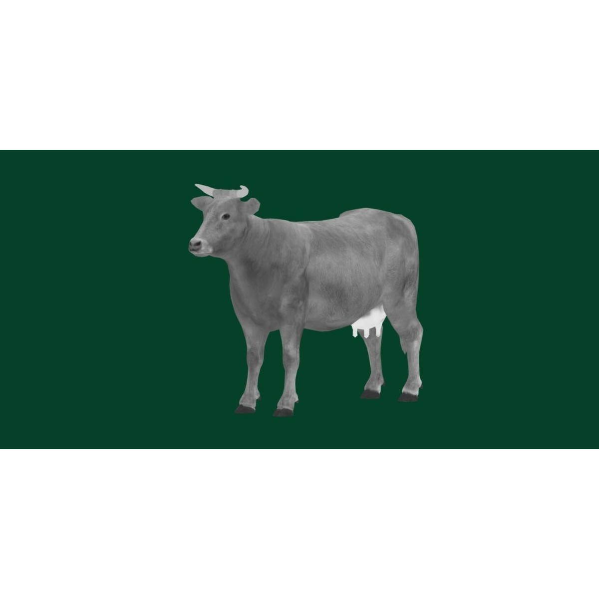 Domestic Cattle Oxen 3D Model – Low Poly Game Asset, FBX, PBR Textures - View 24