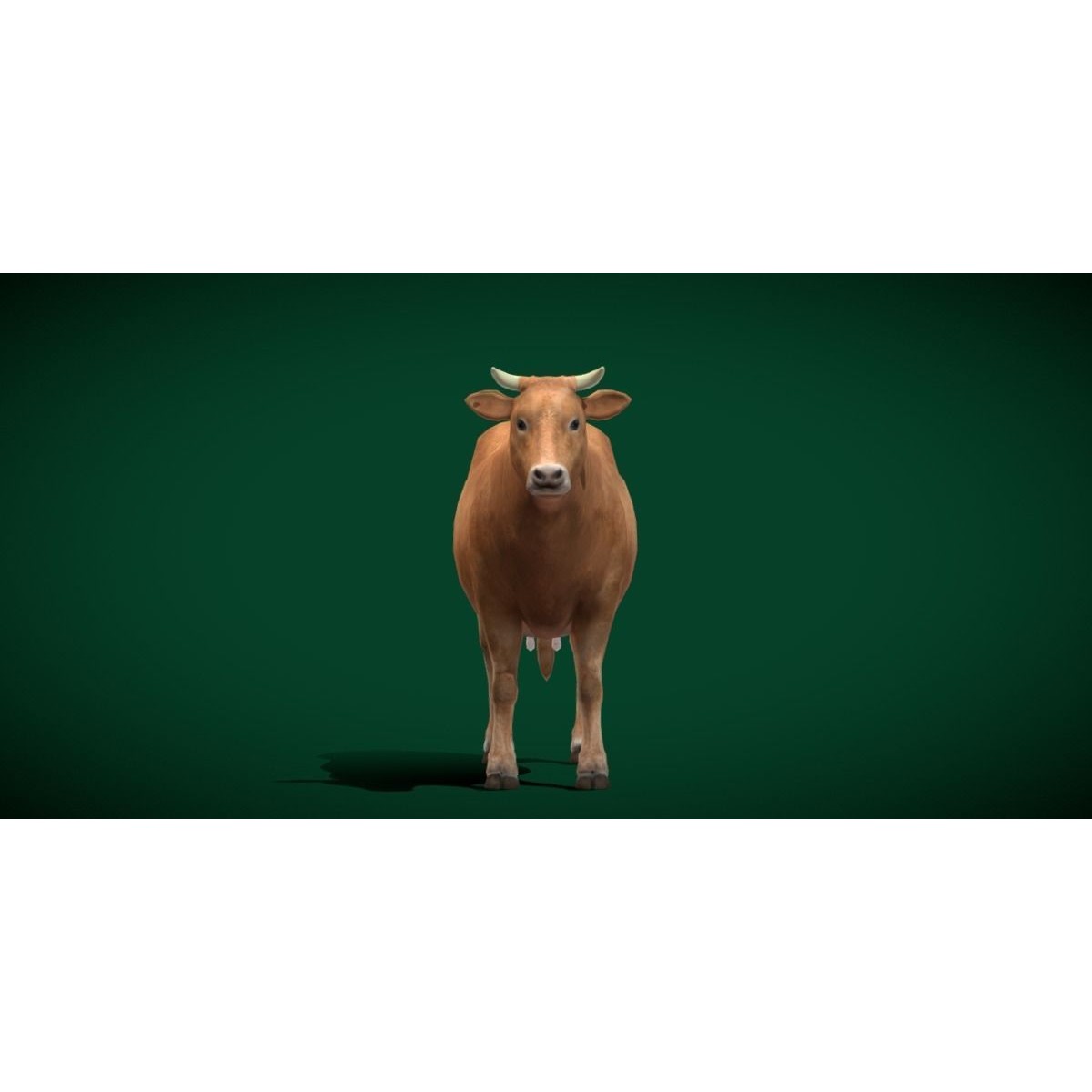 Domestic Cattle Oxen 3D Model – Low Poly Game Asset, FBX, PBR Textures - View 8