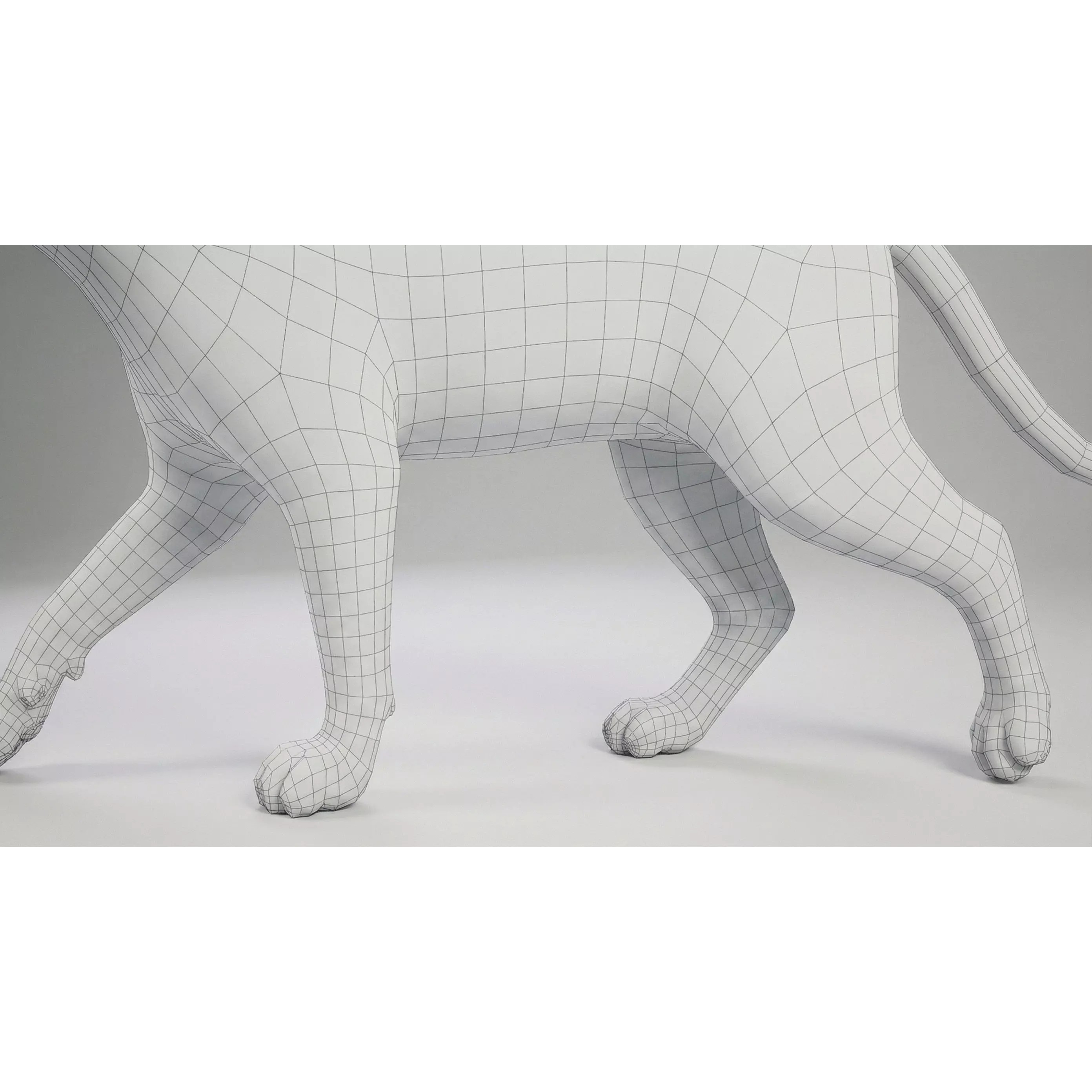 Tabby Cat 3D Model – Rigged Animated Fur, Blender, Game-Ready
