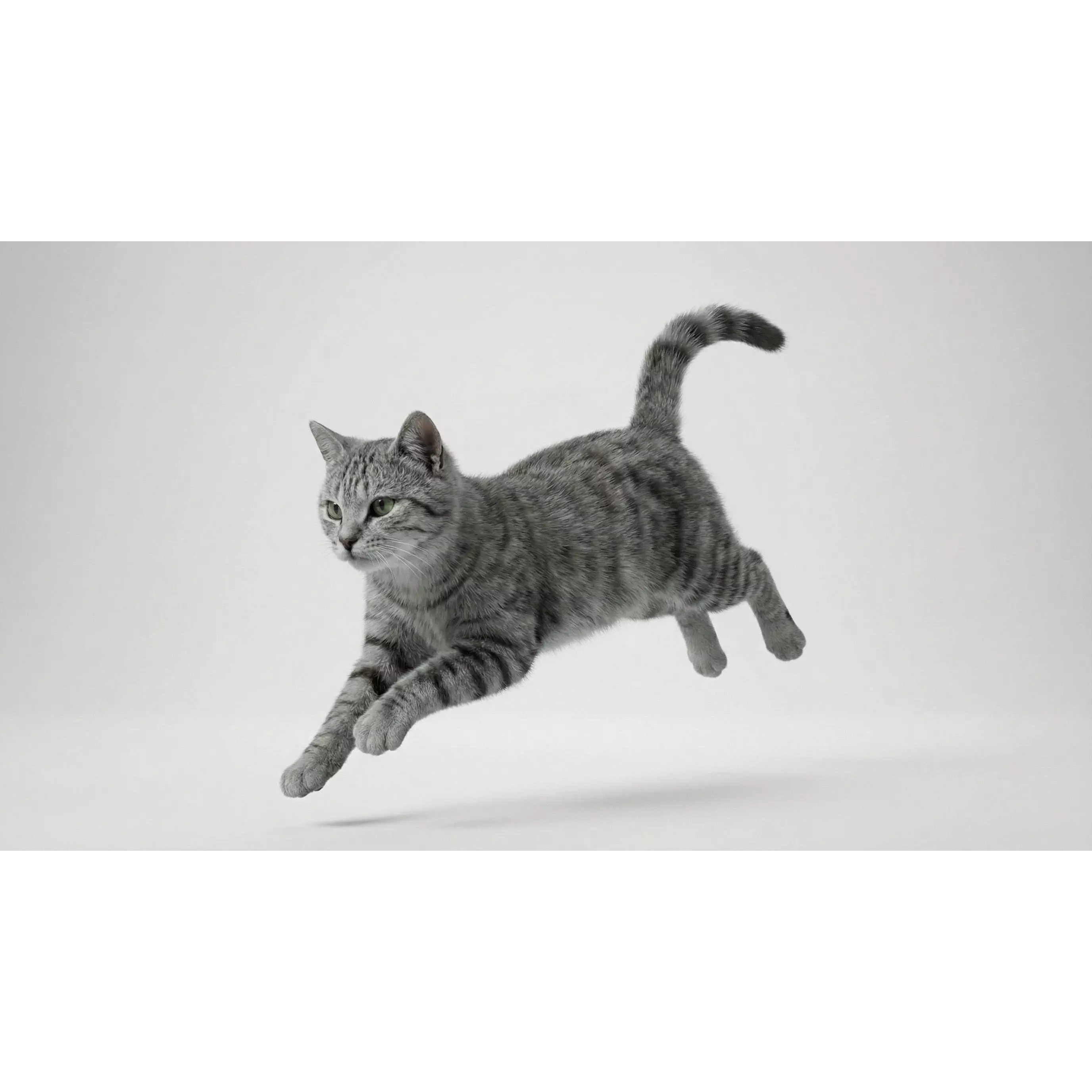 Tabby Cat 3D Model – Rigged Animated Fur, Blender, Game-Ready - View 16