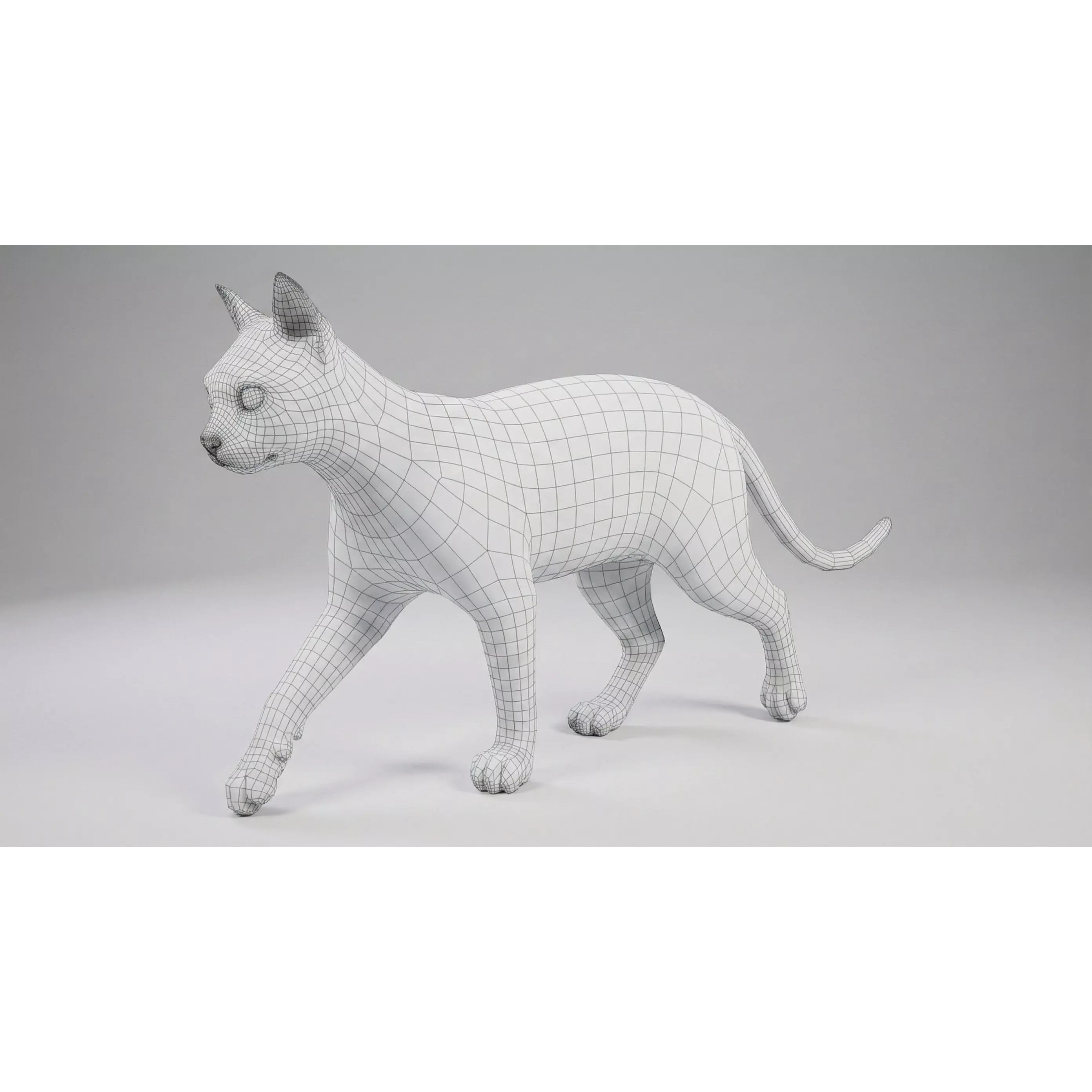 Tabby Cat 3D Model – Rigged Animated Fur, Blender, Game-Ready - View 31