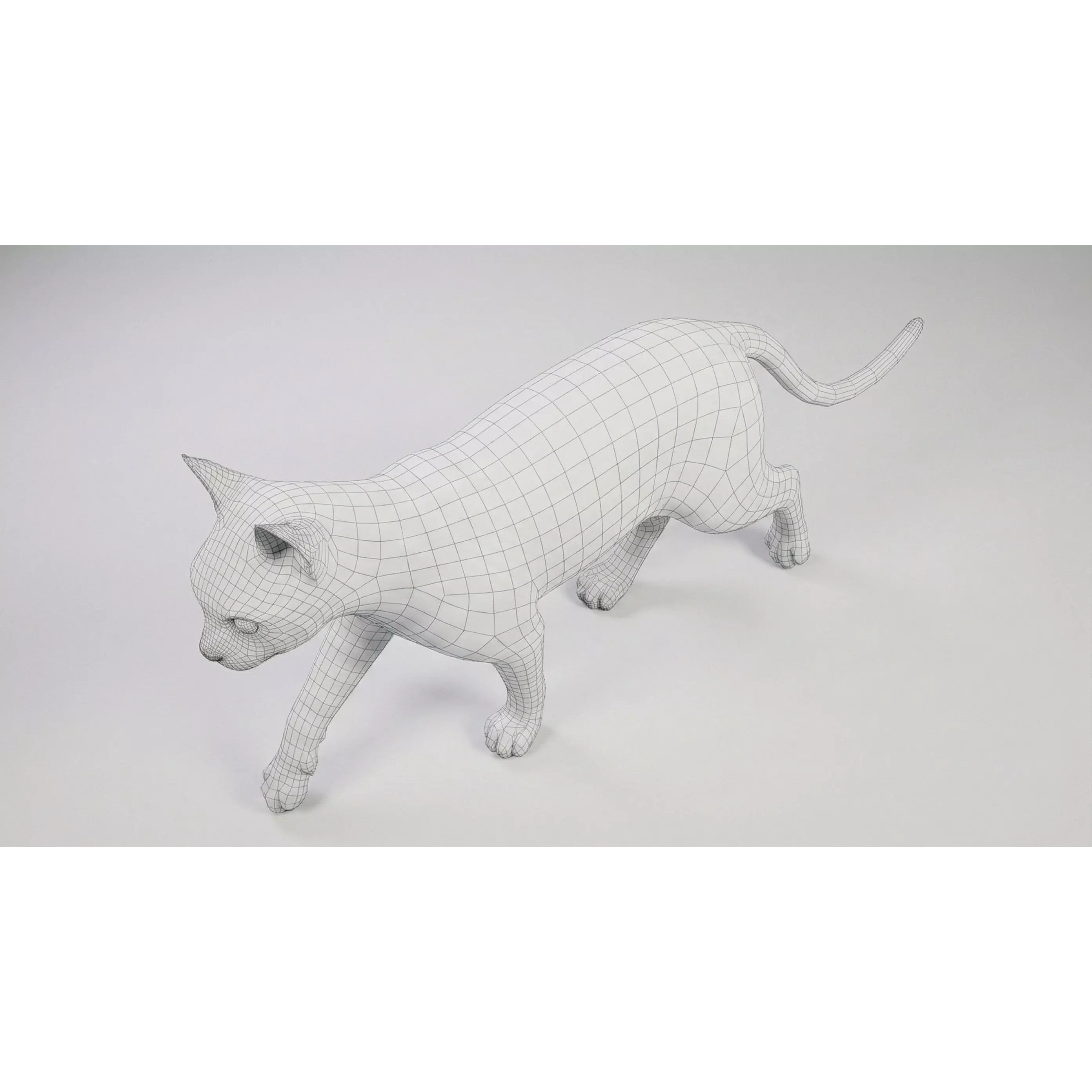 Tabby Cat 3D Model – Rigged Animated Fur, Blender, Game-Ready - View 32