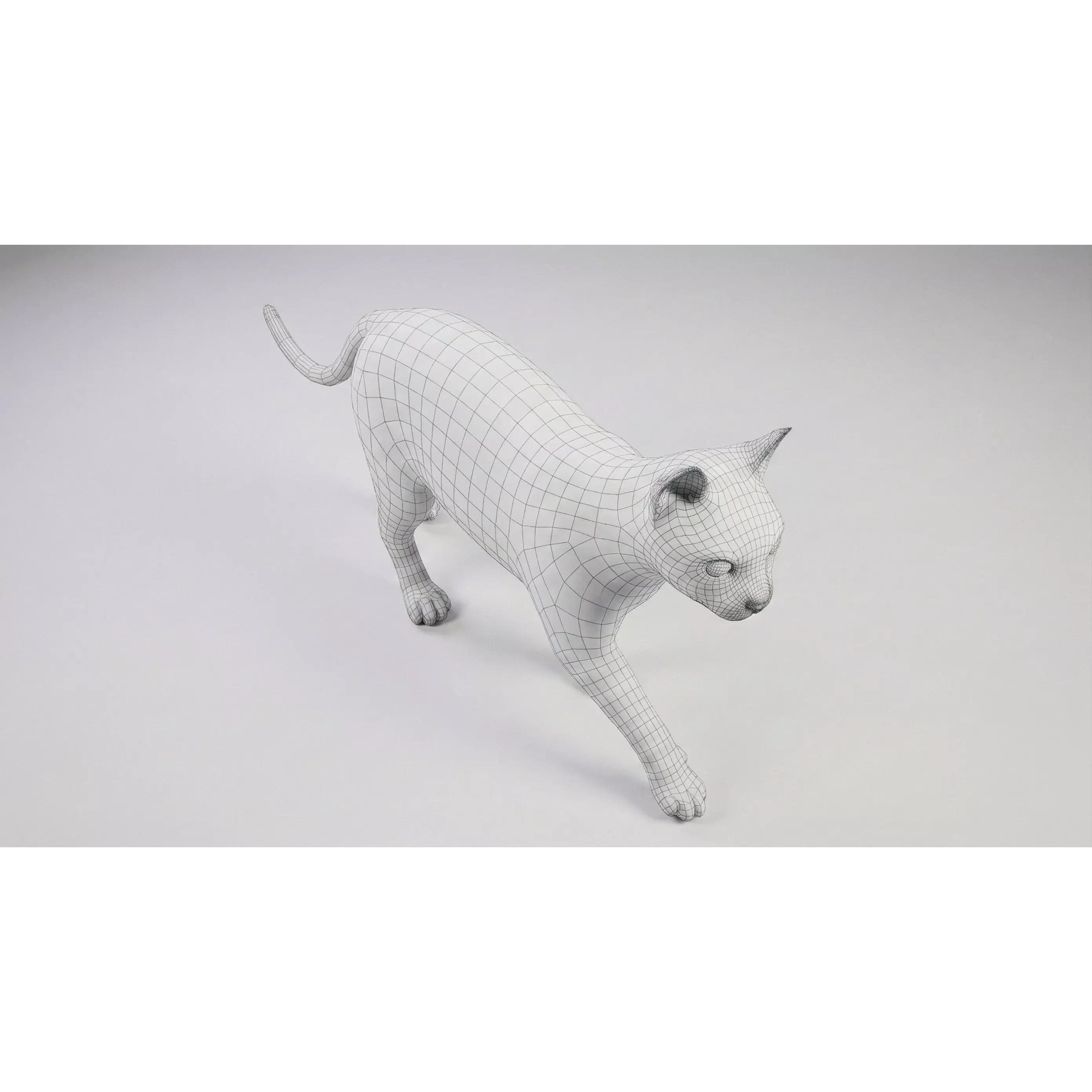 Tabby Cat 3D Model – Rigged Animated Fur, Blender, Game-Ready - View 33