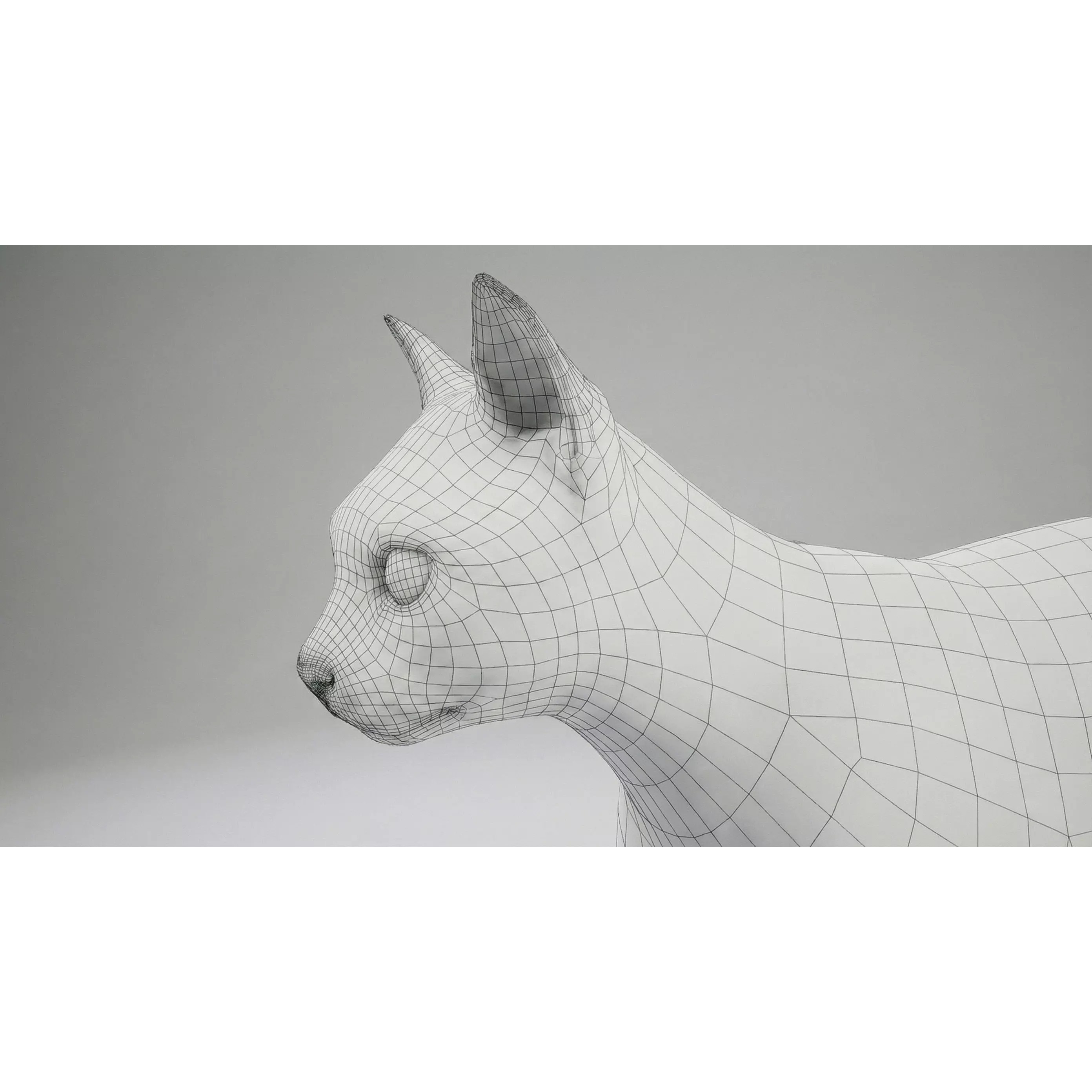 Tabby Cat 3D Model – Rigged Animated Fur, Blender, Game-Ready - View 34