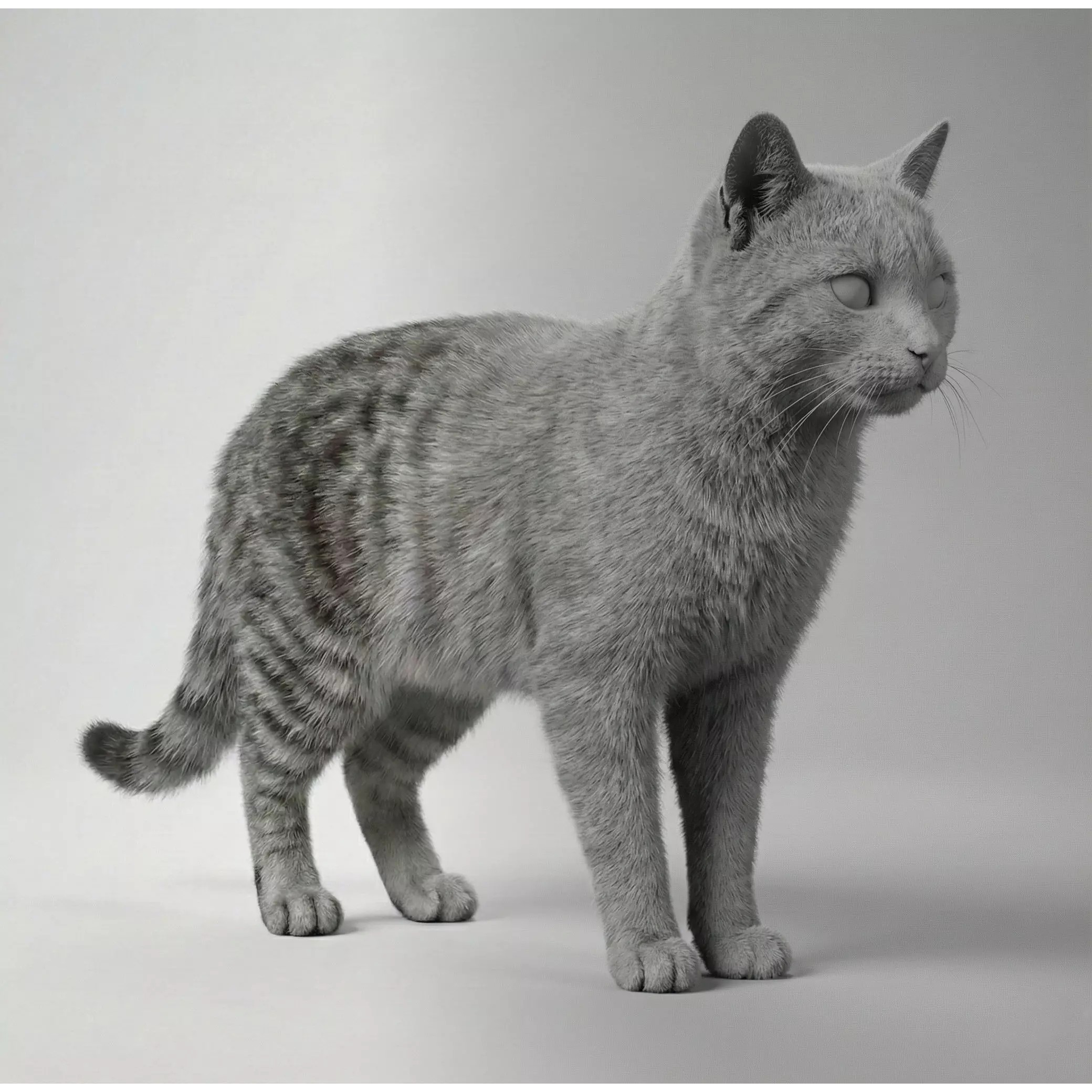 Tabby Cat 3D Model – Rigged Animated Fur, Blender, Game-Ready - View 8