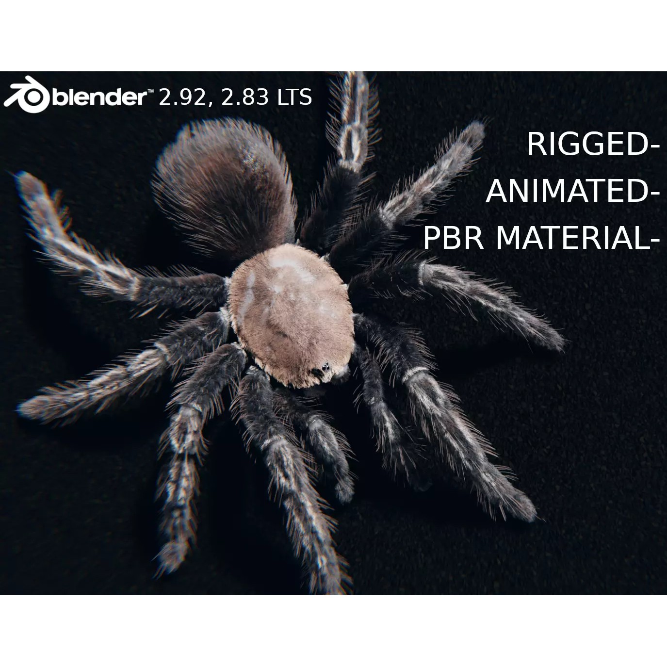Skeleton Tarantula 3D Model – Rigged Animated Asset for Blender - View 2