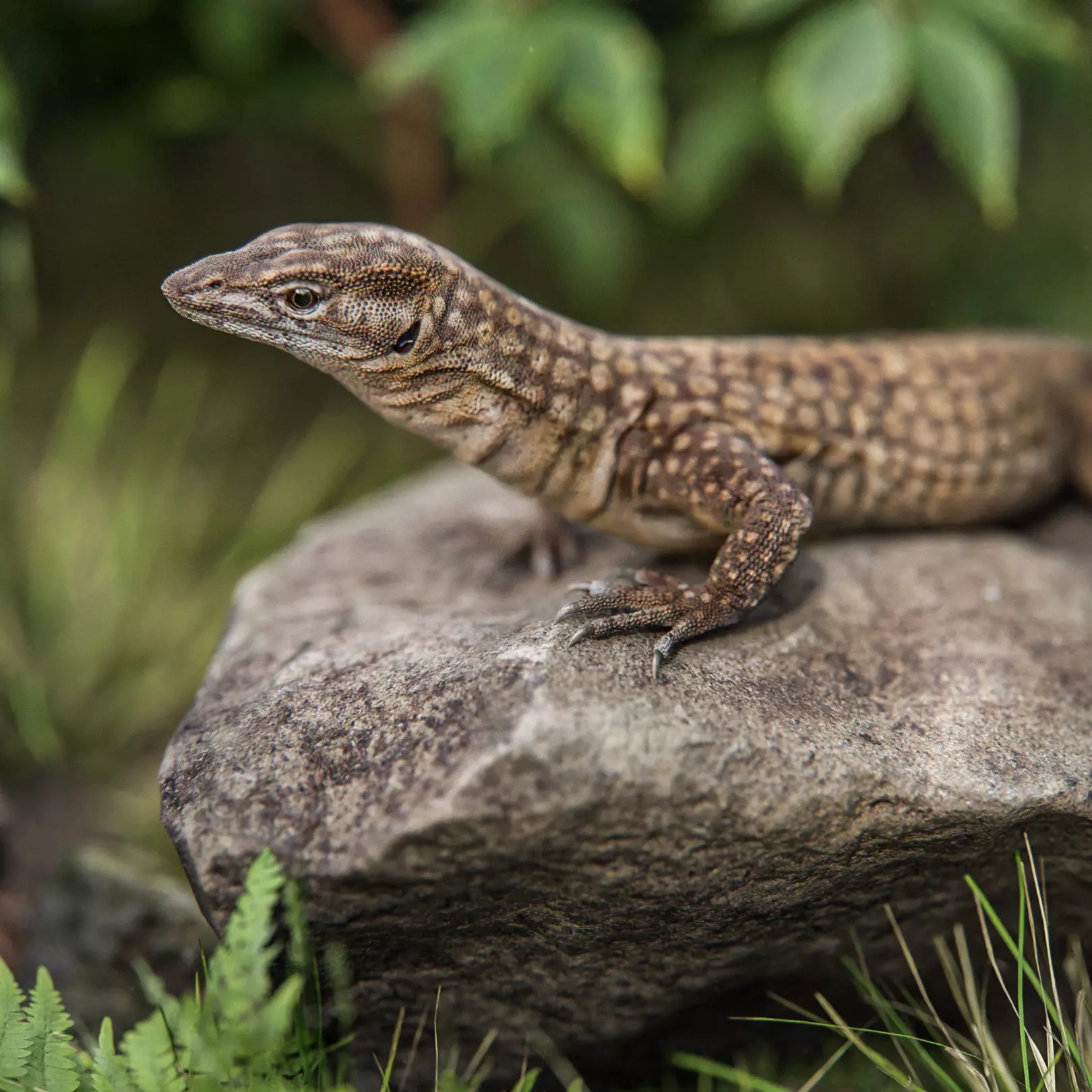 Ackie Monitor Lizard 3D Model – Realistic Rigged Animation, FBX - View 2