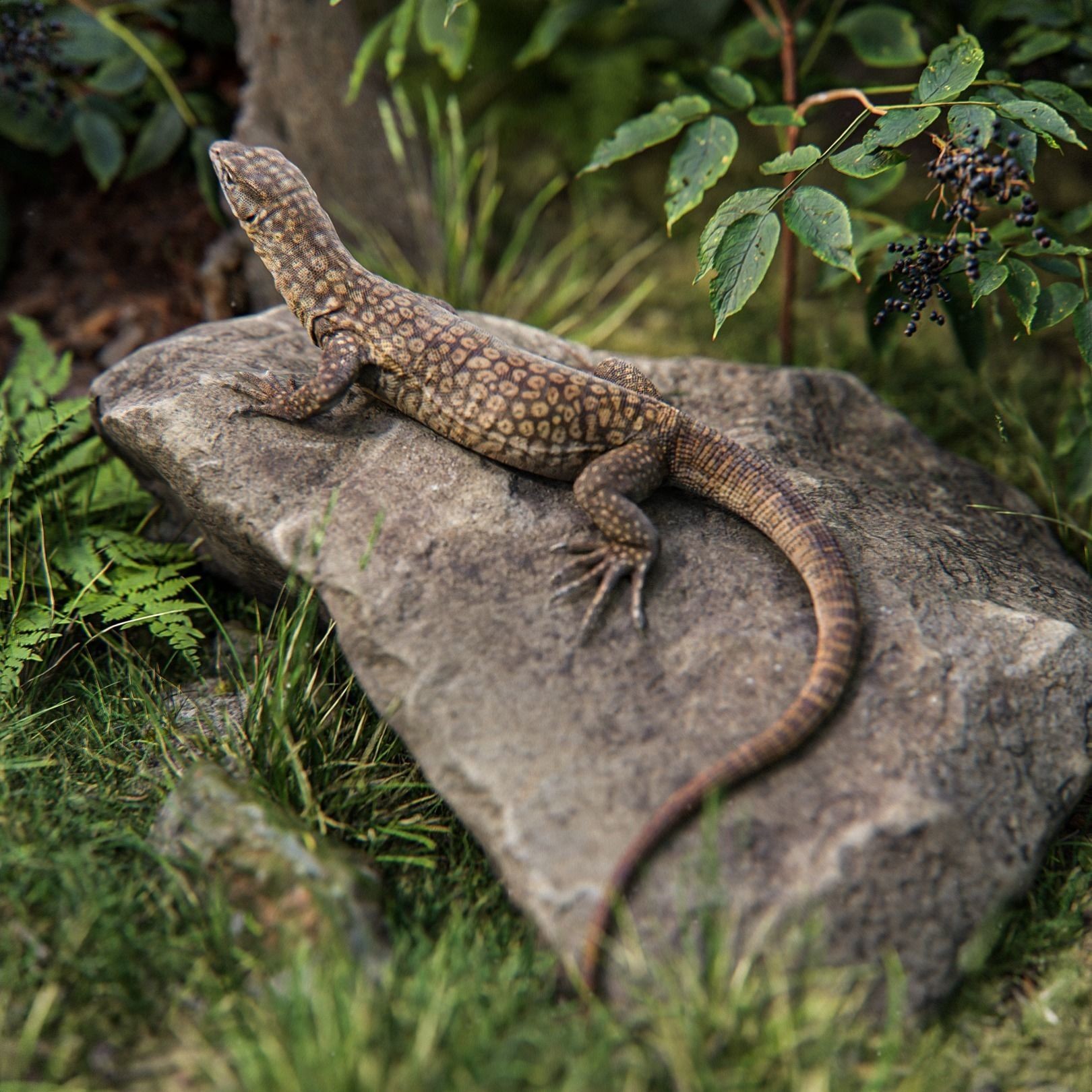 Ackie Monitor Lizard 3D Model – Realistic Rigged Animation, FBX - View 3