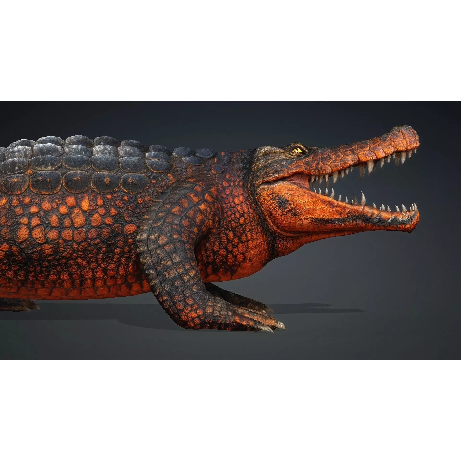 Crocodile 3D Model – Rigged Animated Creature with PBR Textures - View 13