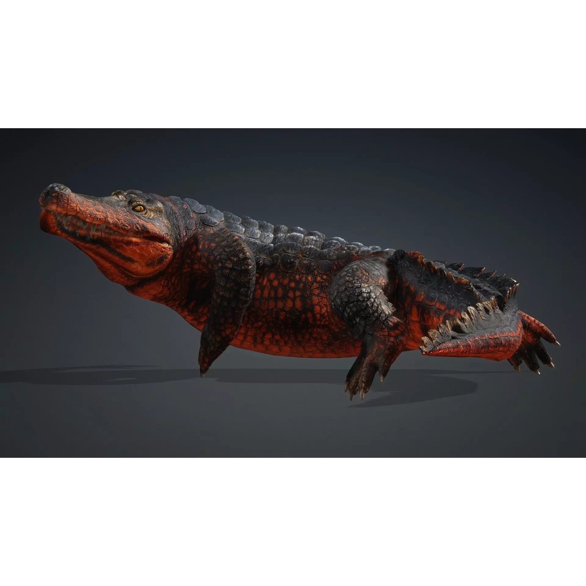 Crocodile 3D Model – Rigged Animated Creature with PBR Textures - View 15