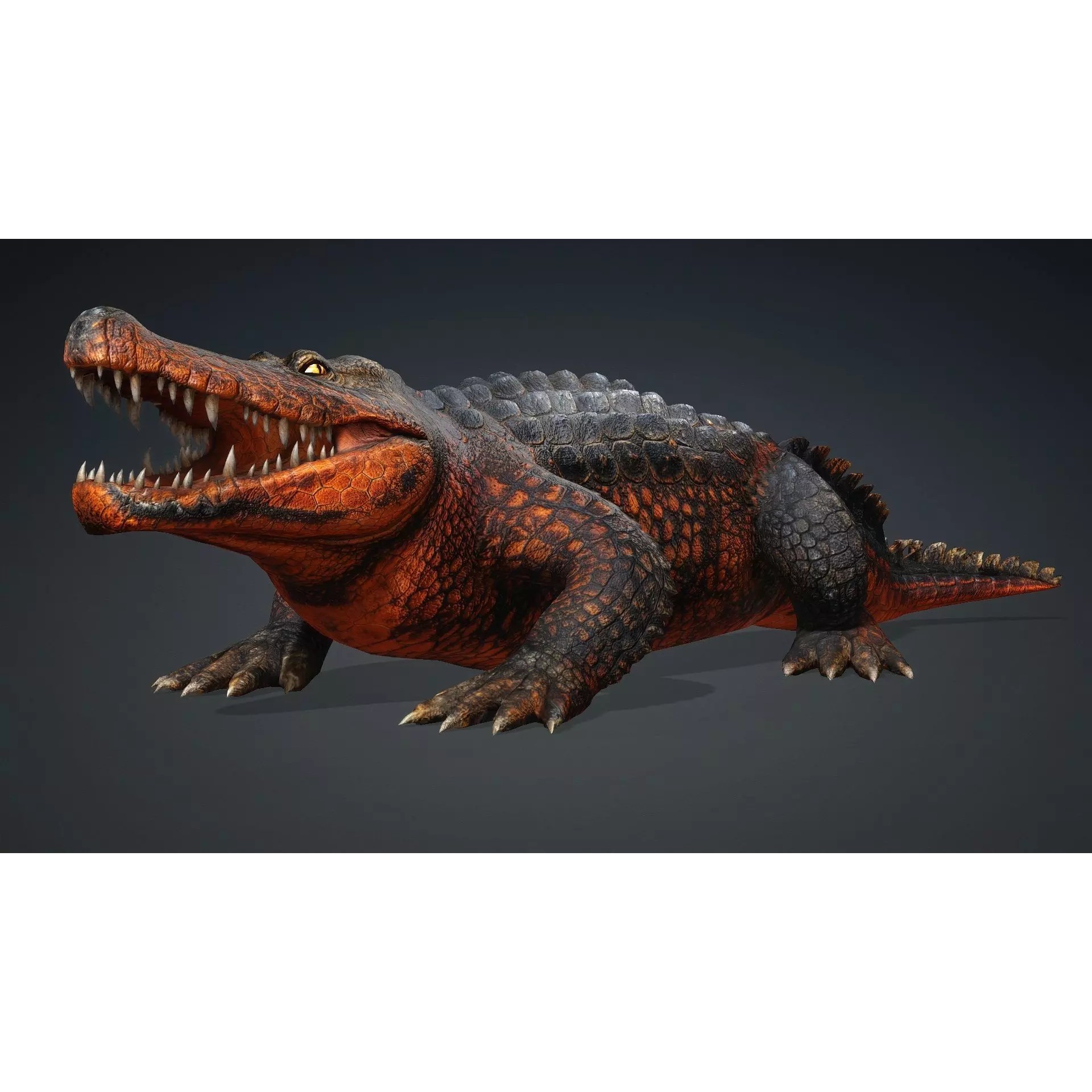 Crocodile 3D Model – Rigged Animated Creature with PBR Textures - View 3