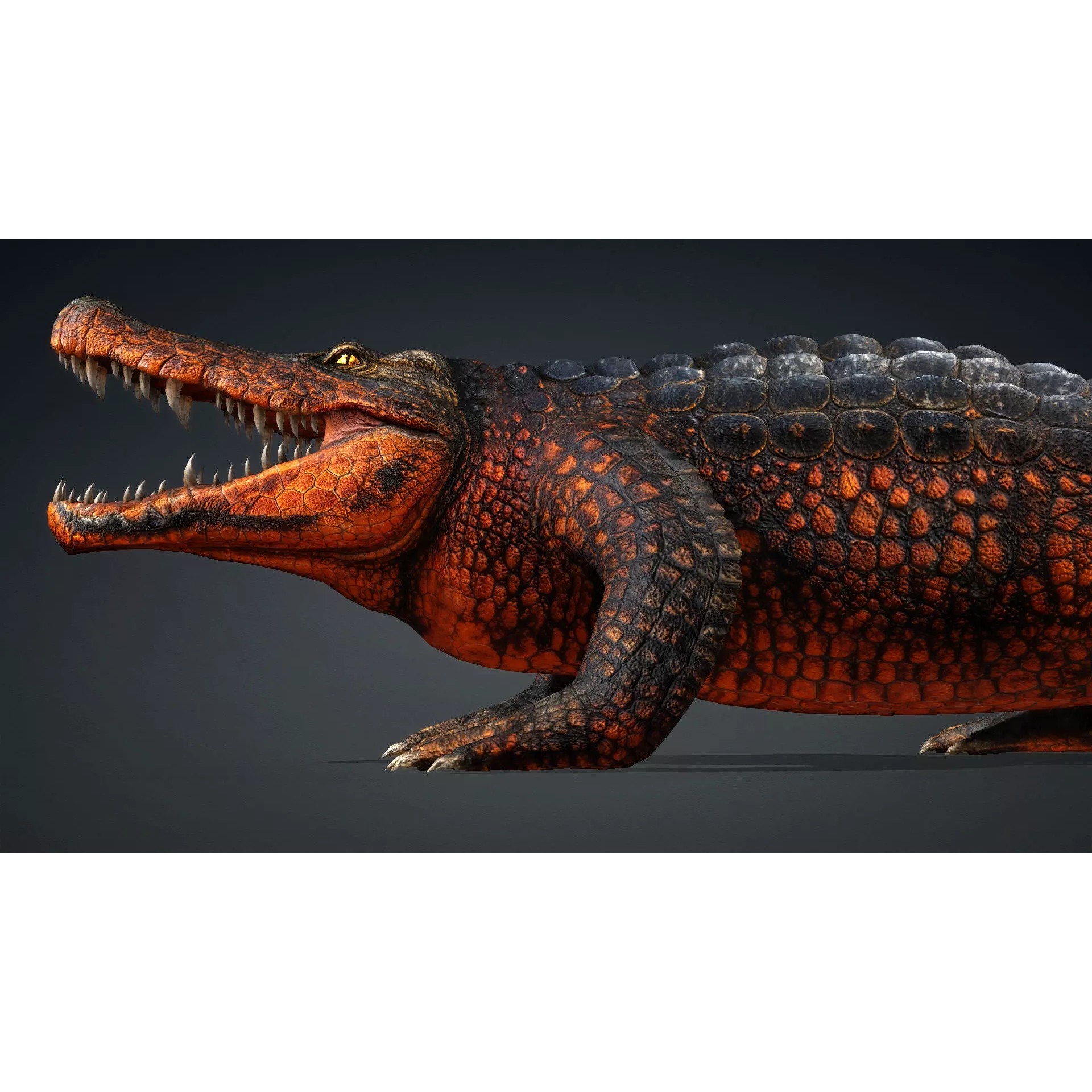 Crocodile 3D Model – Rigged Animated Creature with PBR Textures - View 4