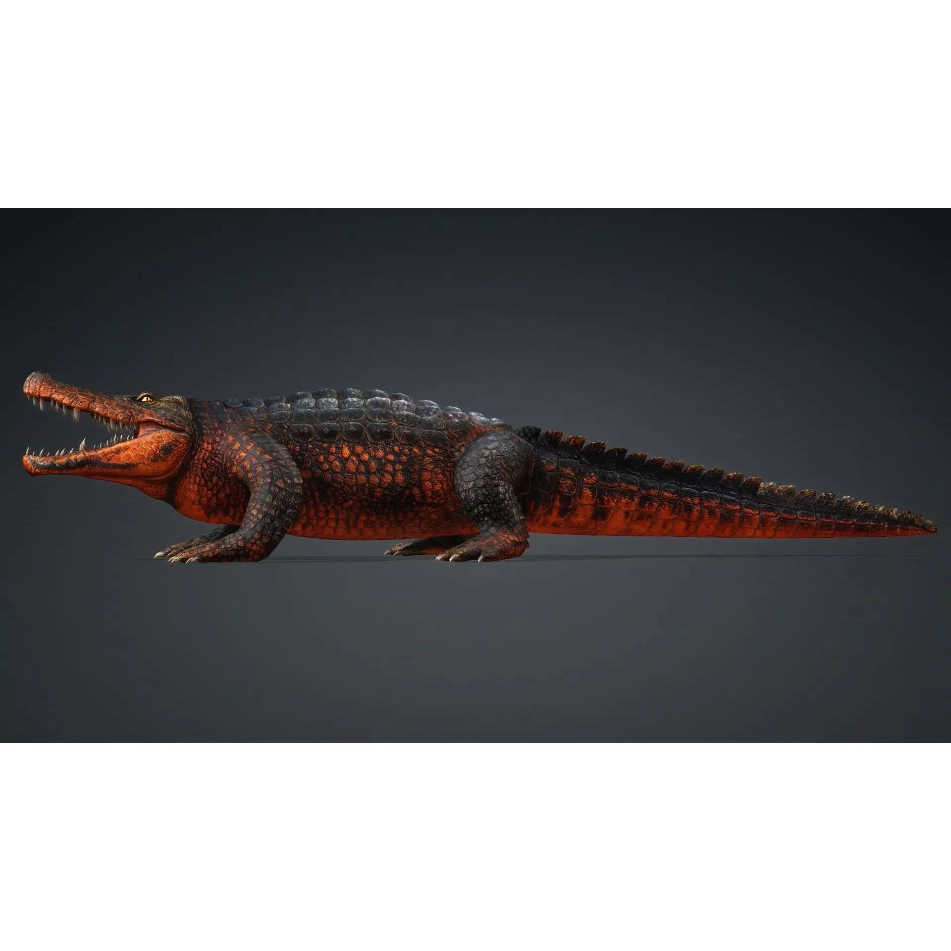 Crocodile 3D Model – Rigged Animated Creature with PBR Textures - View 5