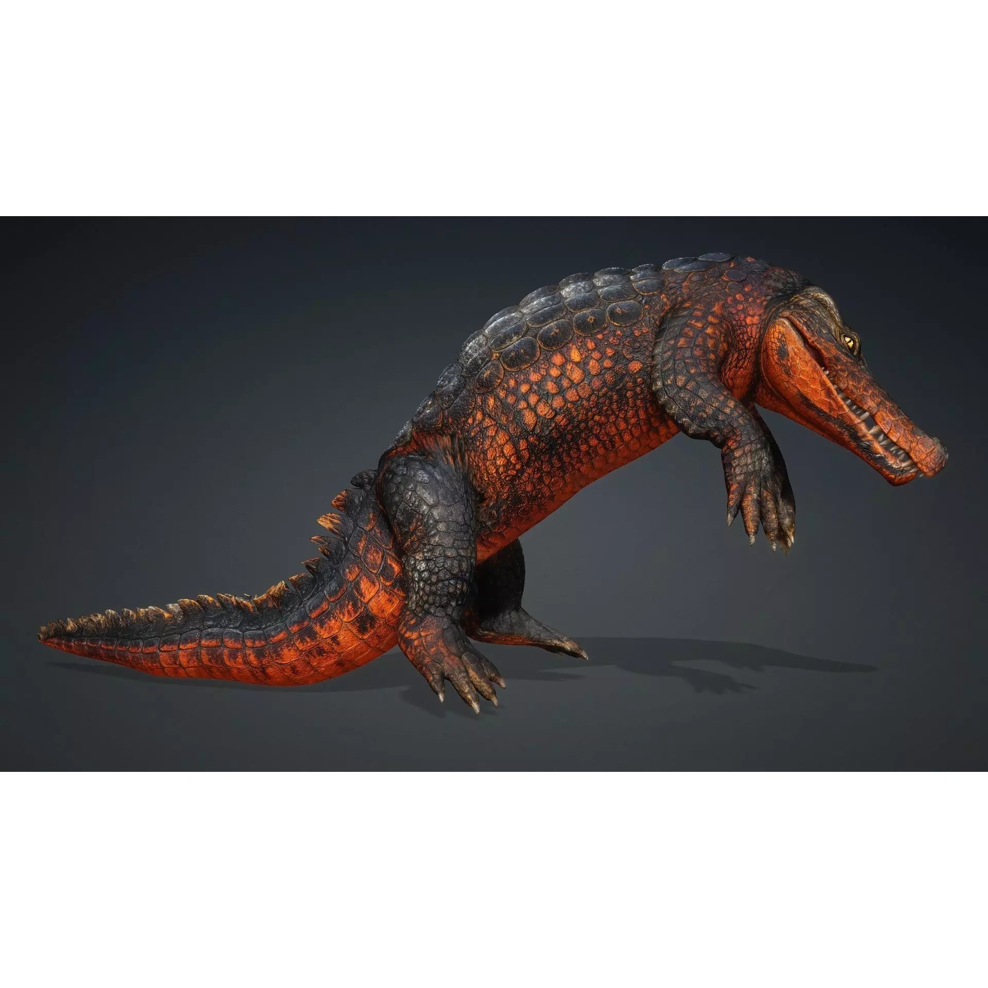 Crocodile 3D Model – Rigged Animated Creature with PBR Textures - View 6