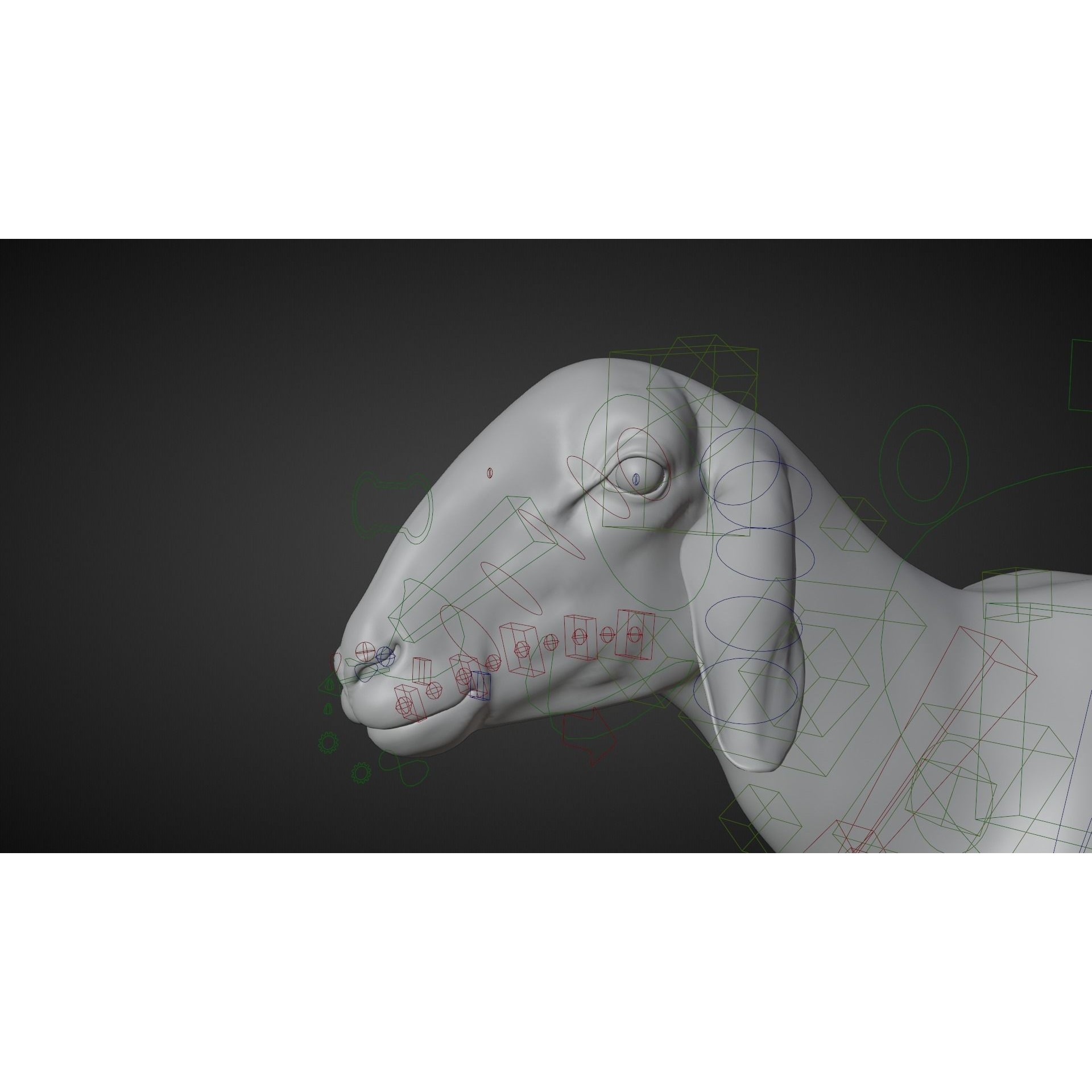 Assaf Sheep 3D Model – Rigged Animal with Animation, Blender - View 10