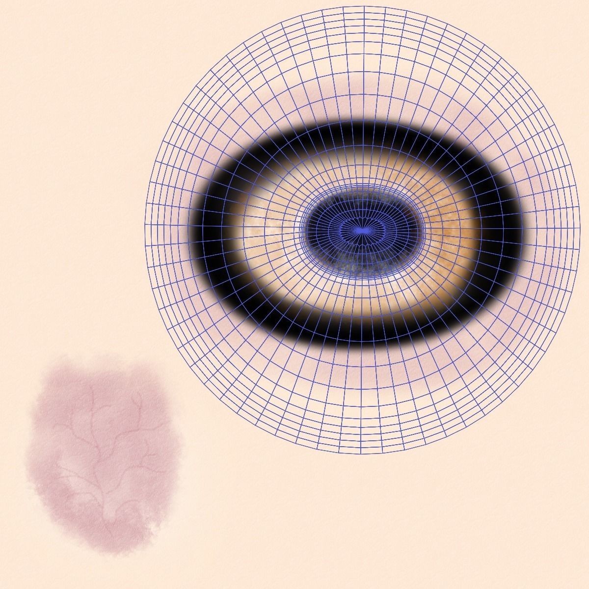 Assaf Sheep 3D Model – Rigged Animal with Animation, Blender - View 15