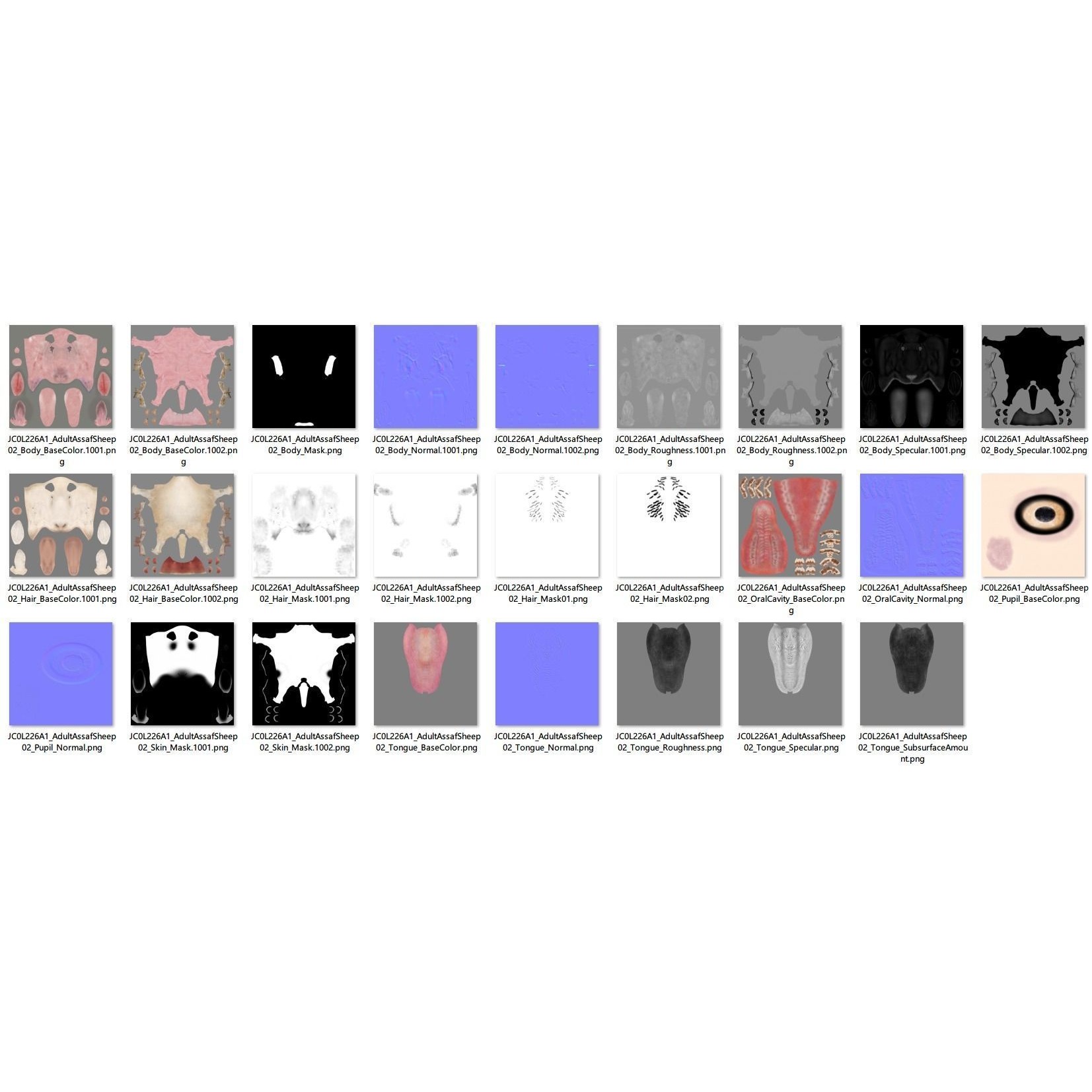 Assaf Sheep 3D Model – Rigged Animal with Animation, Blender - View 17