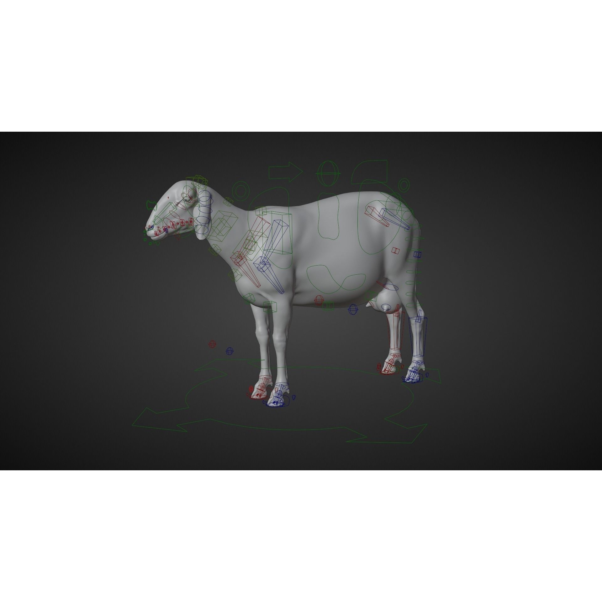 Assaf Sheep 3D Model – Rigged Animal with Animation, Blender - View 7