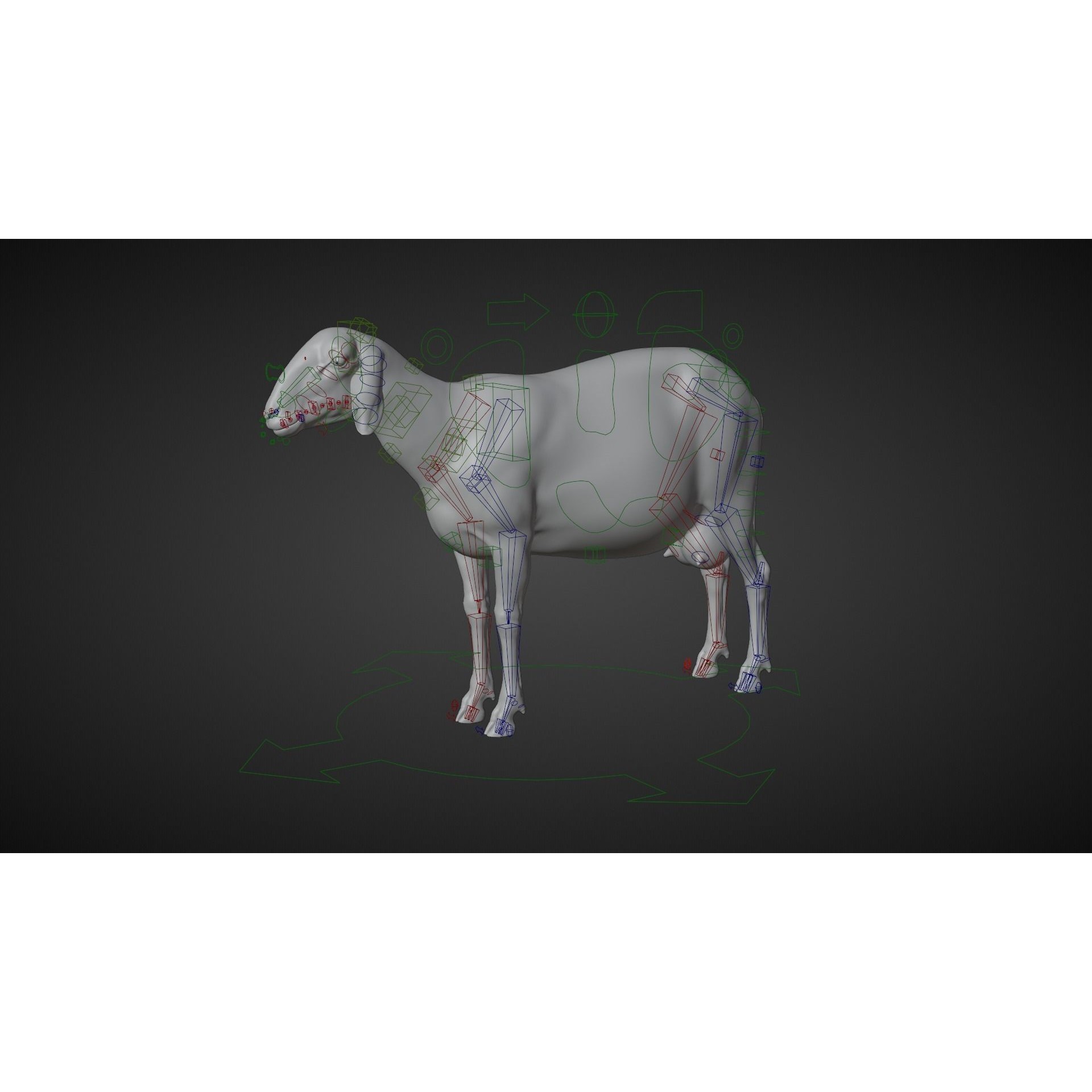 Assaf Sheep 3D Model – Rigged Animal with Animation, Blender - View 8