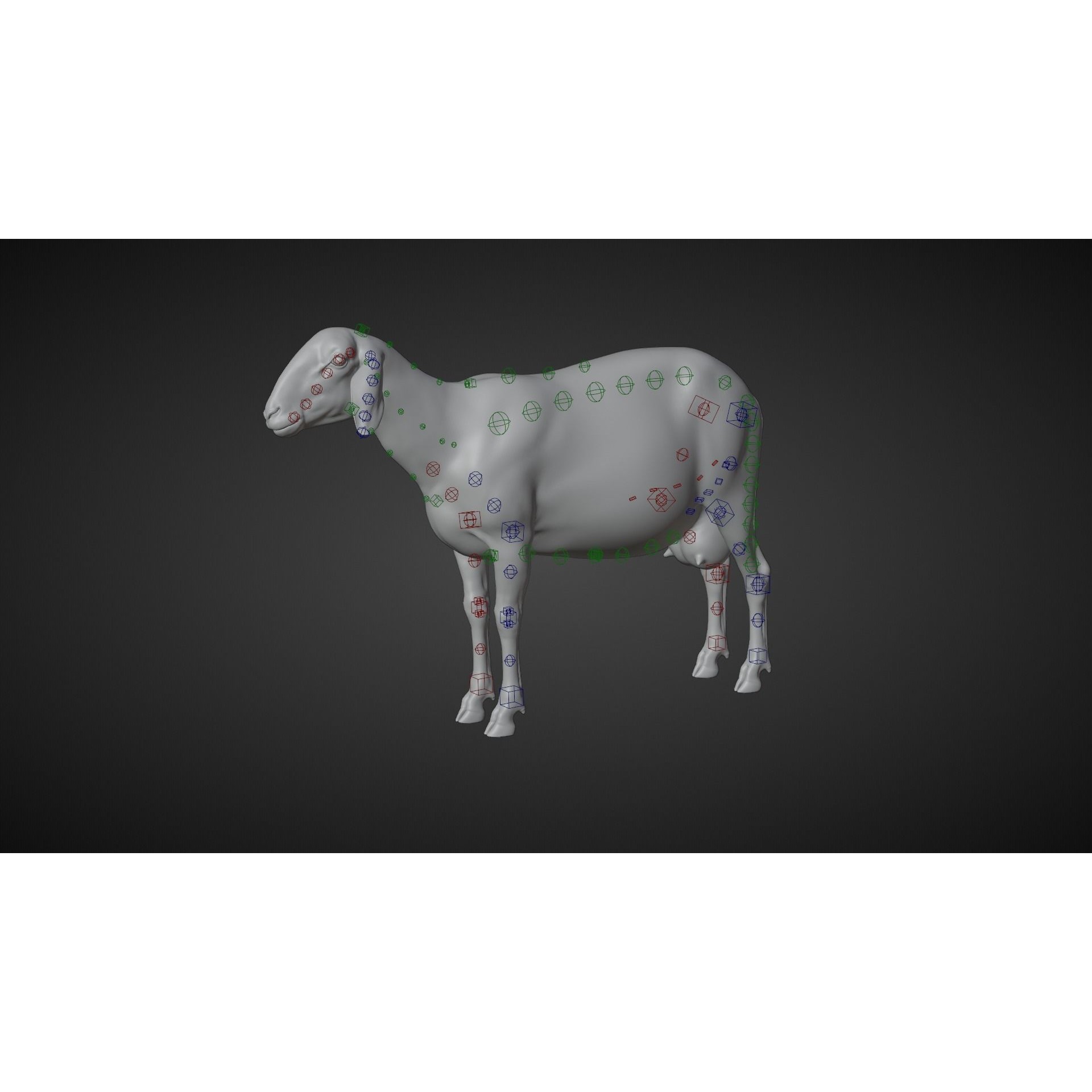 Assaf Sheep 3D Model – Rigged Animal with Animation, Blender - View 9