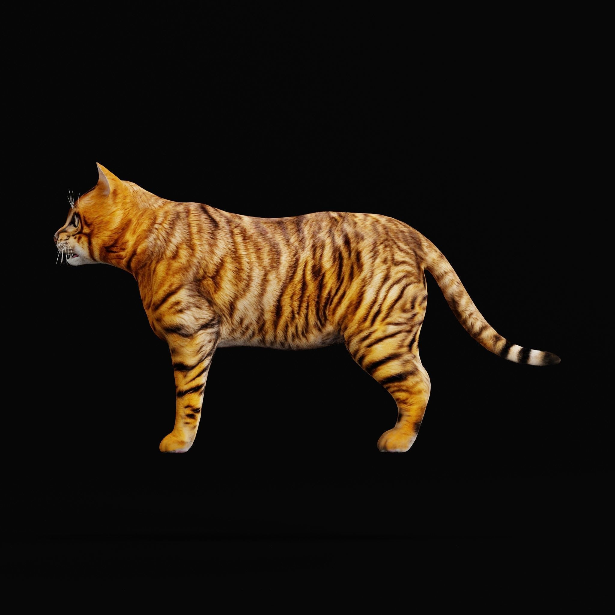 Cats 3D Model – Low Poly Game Ready with 27 Animations, FBX