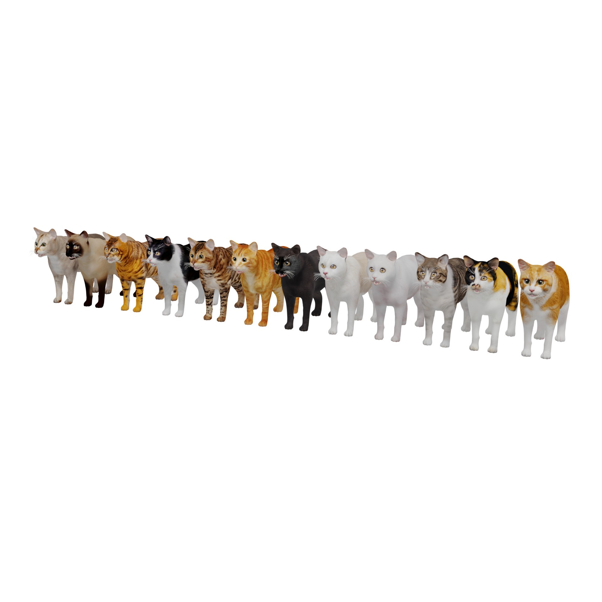 Cats 3D Model – Low Poly Game Ready with 27 Animations, FBX - View 10