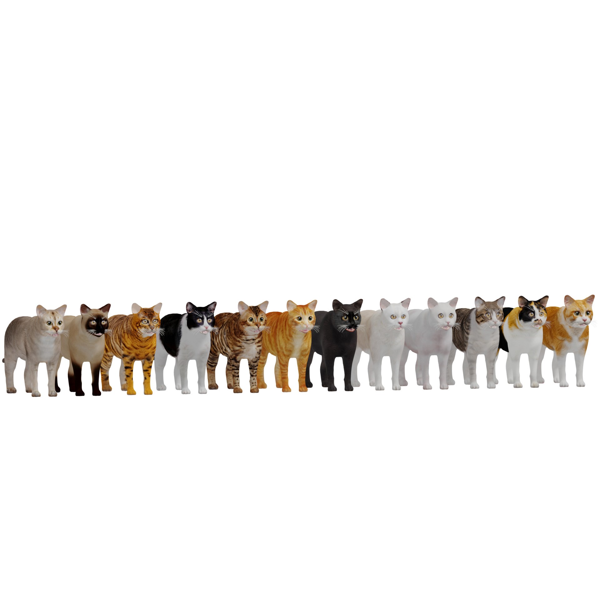 Cats 3D Model – Low Poly Game Ready with 27 Animations, FBX - View 13