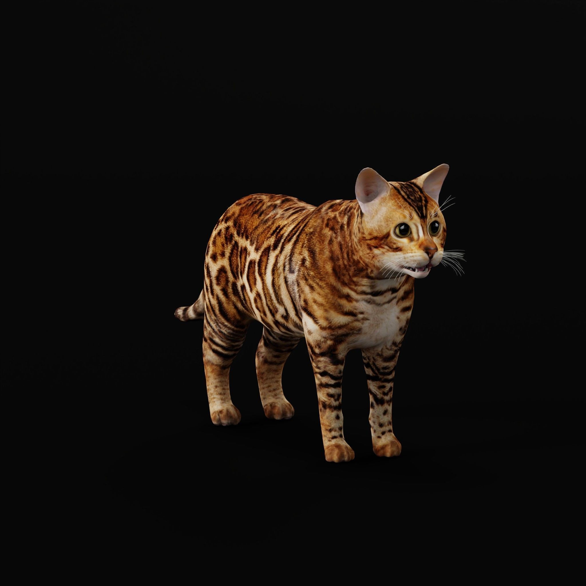 Cats 3D Model – Low Poly Game Ready with 27 Animations, FBX - View 18