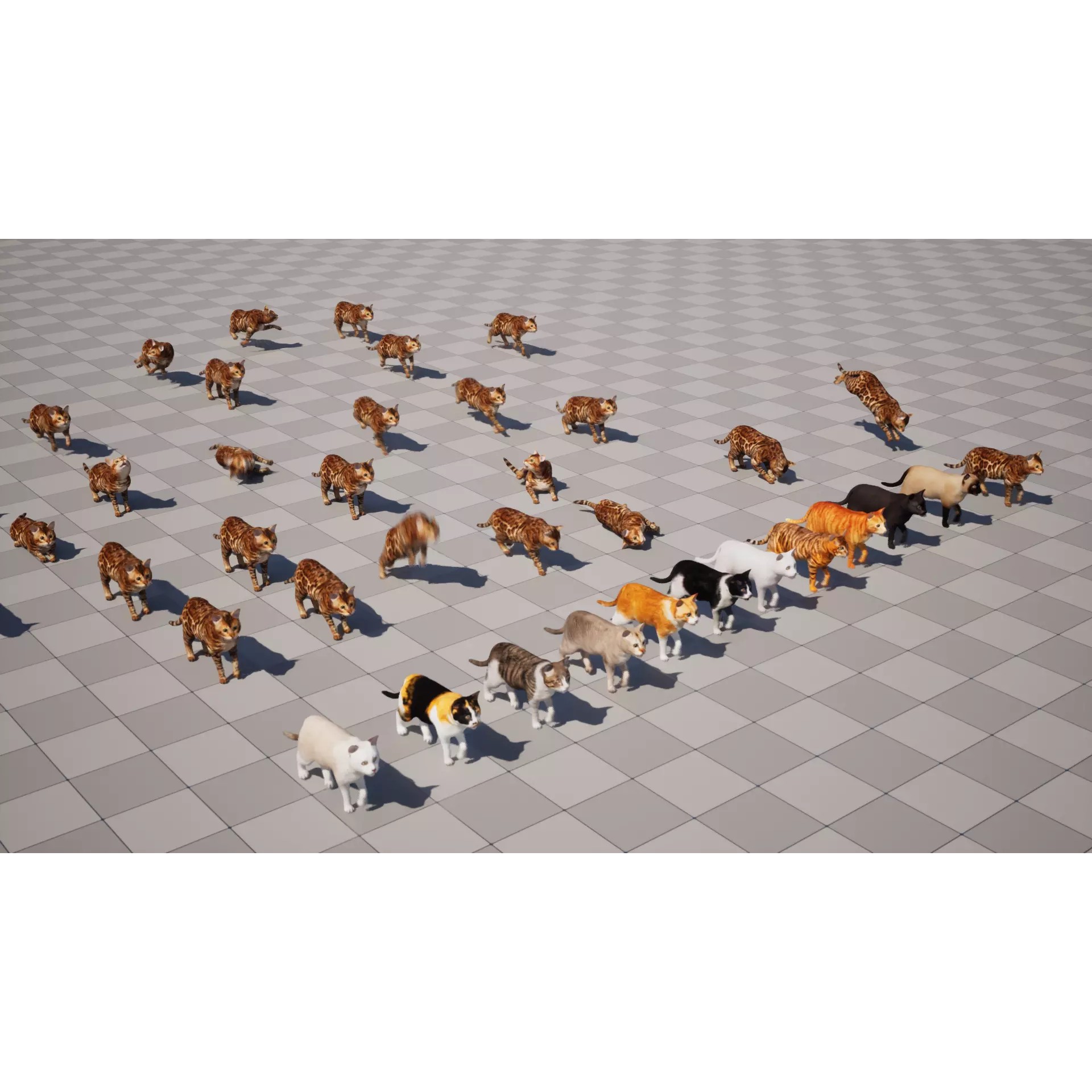 Cats 3D Model – Low Poly Game Ready with 27 Animations, FBX - View 2