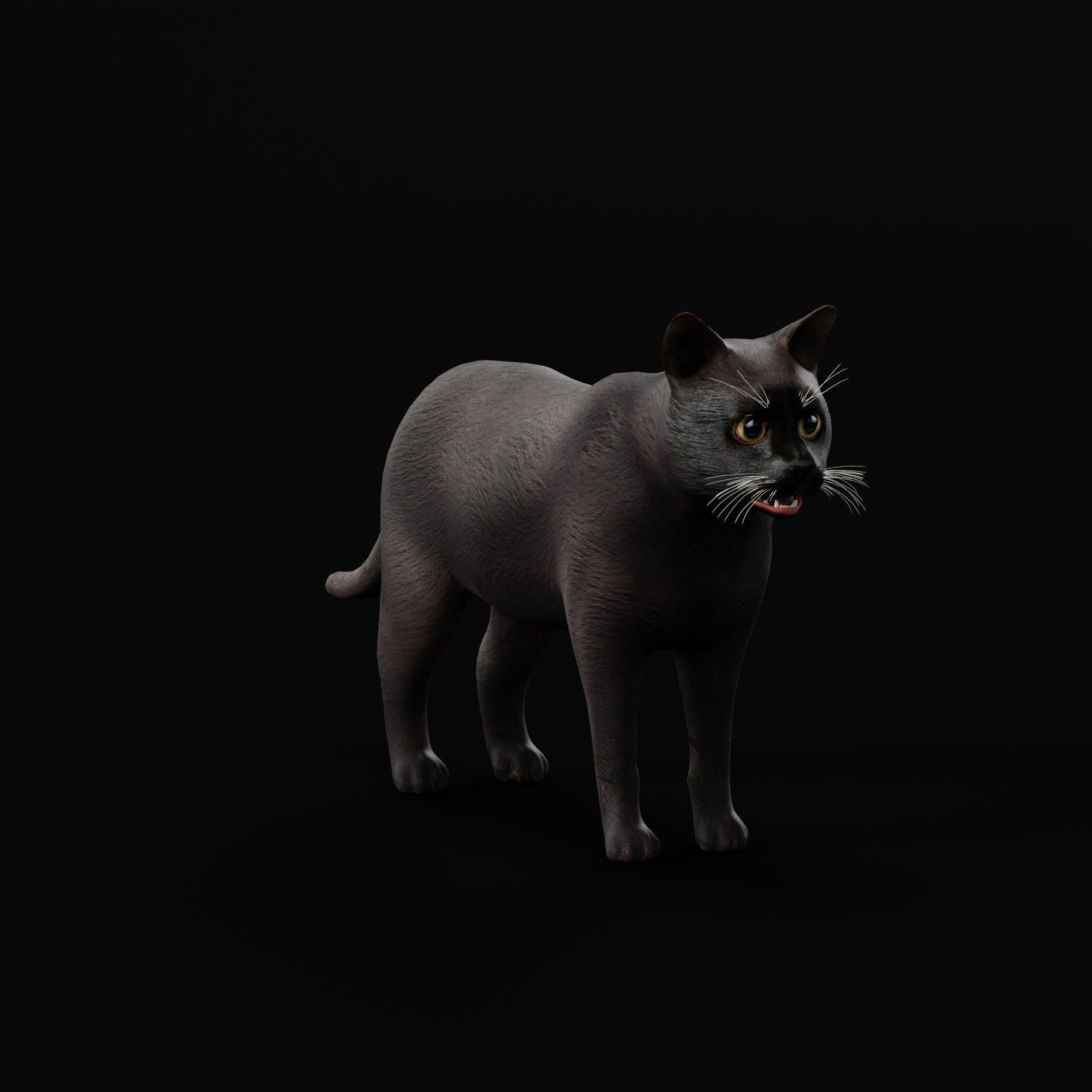 Cats 3D Model – Low Poly Game Ready with 27 Animations, FBX - View 20